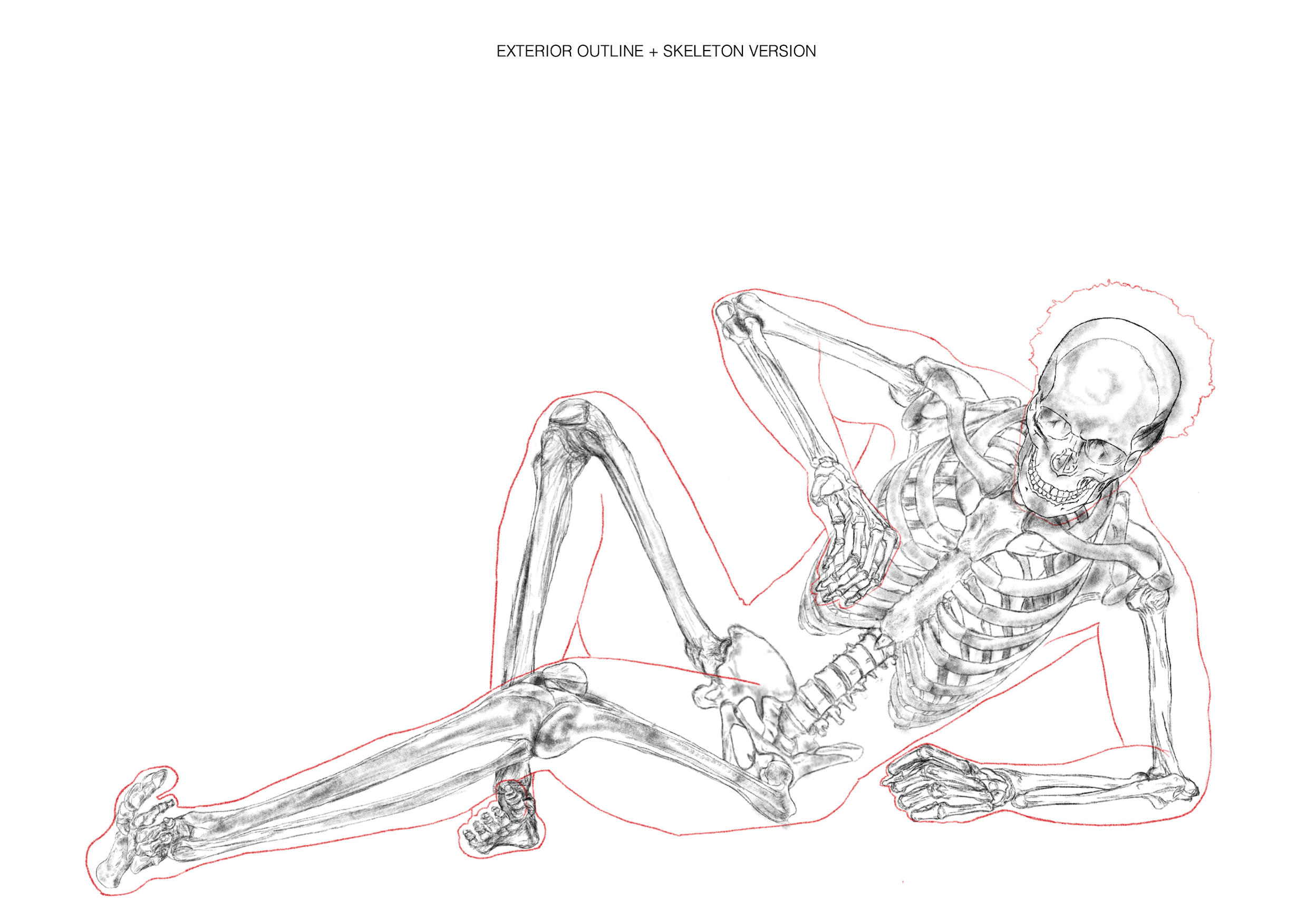 ¹² Skeletal & MSK Analysis