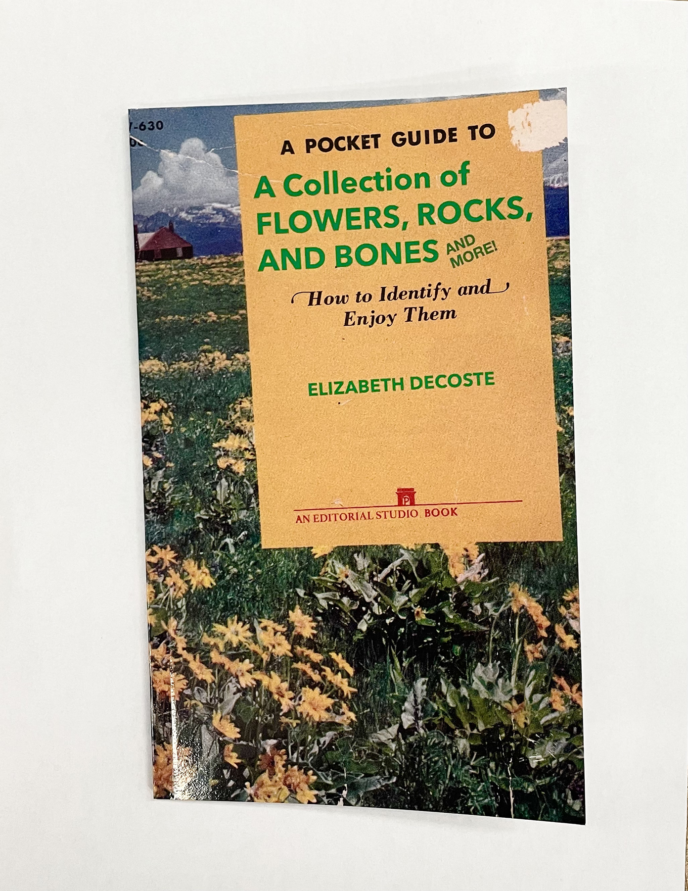 07 A Pocket Guide to A Collection