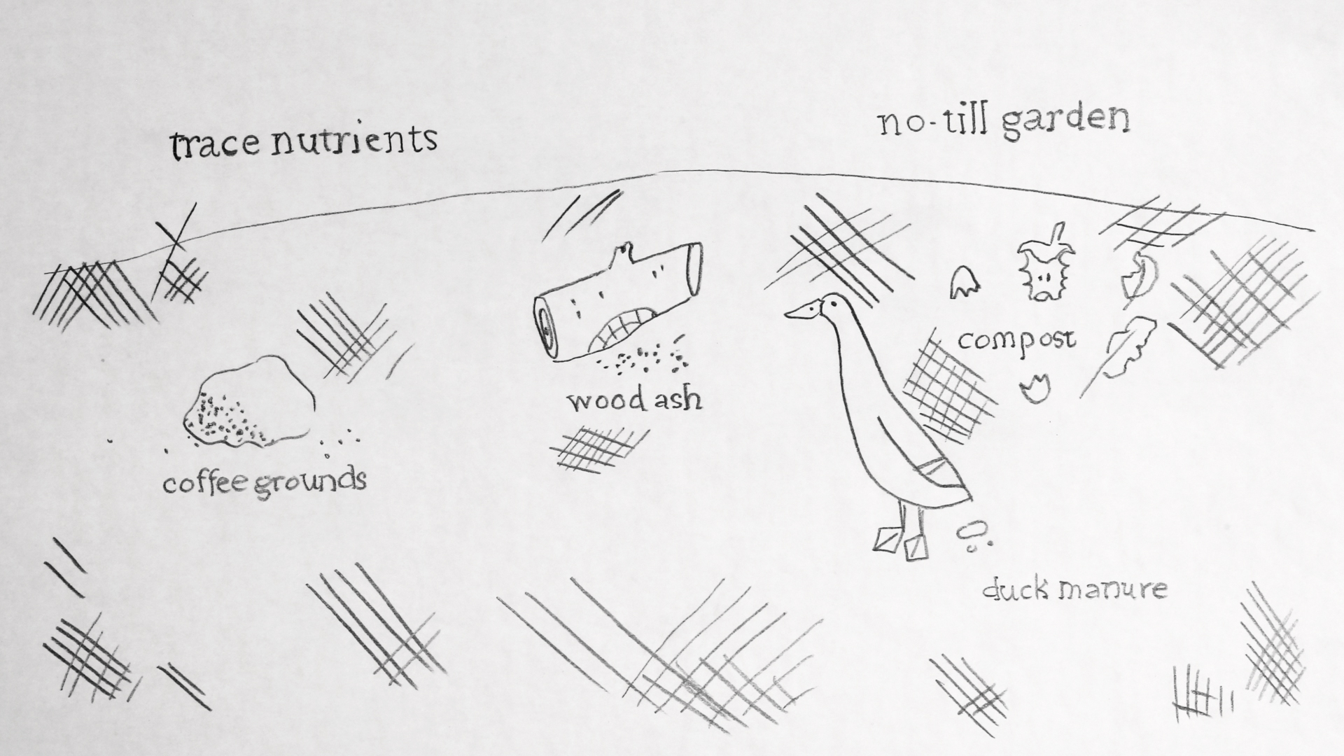 What does a garden know?