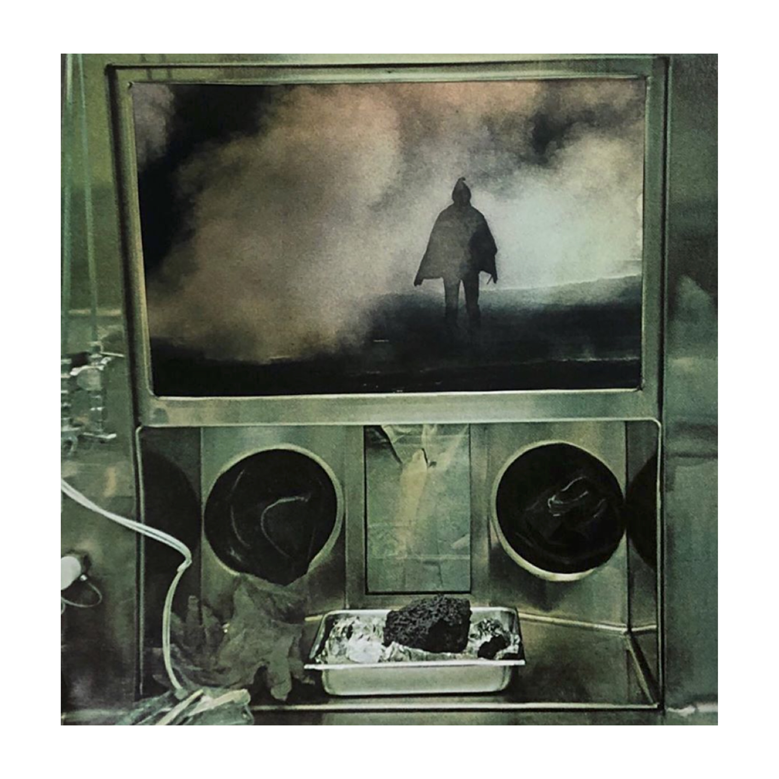 Specimen Laboratory, 2019, Collage, 36 x 35