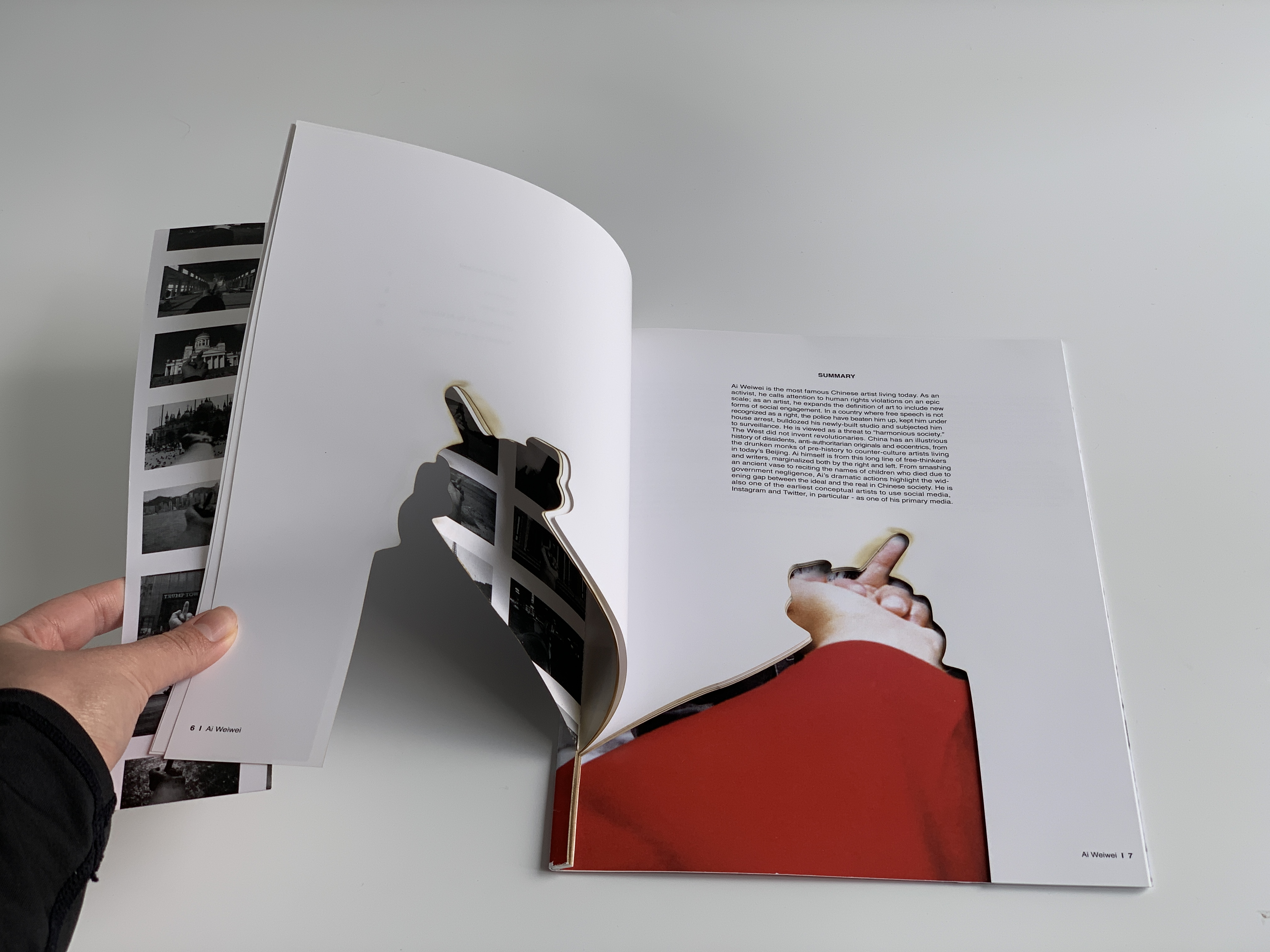 ▐  Ai Weiwei Custom Booklet ▐