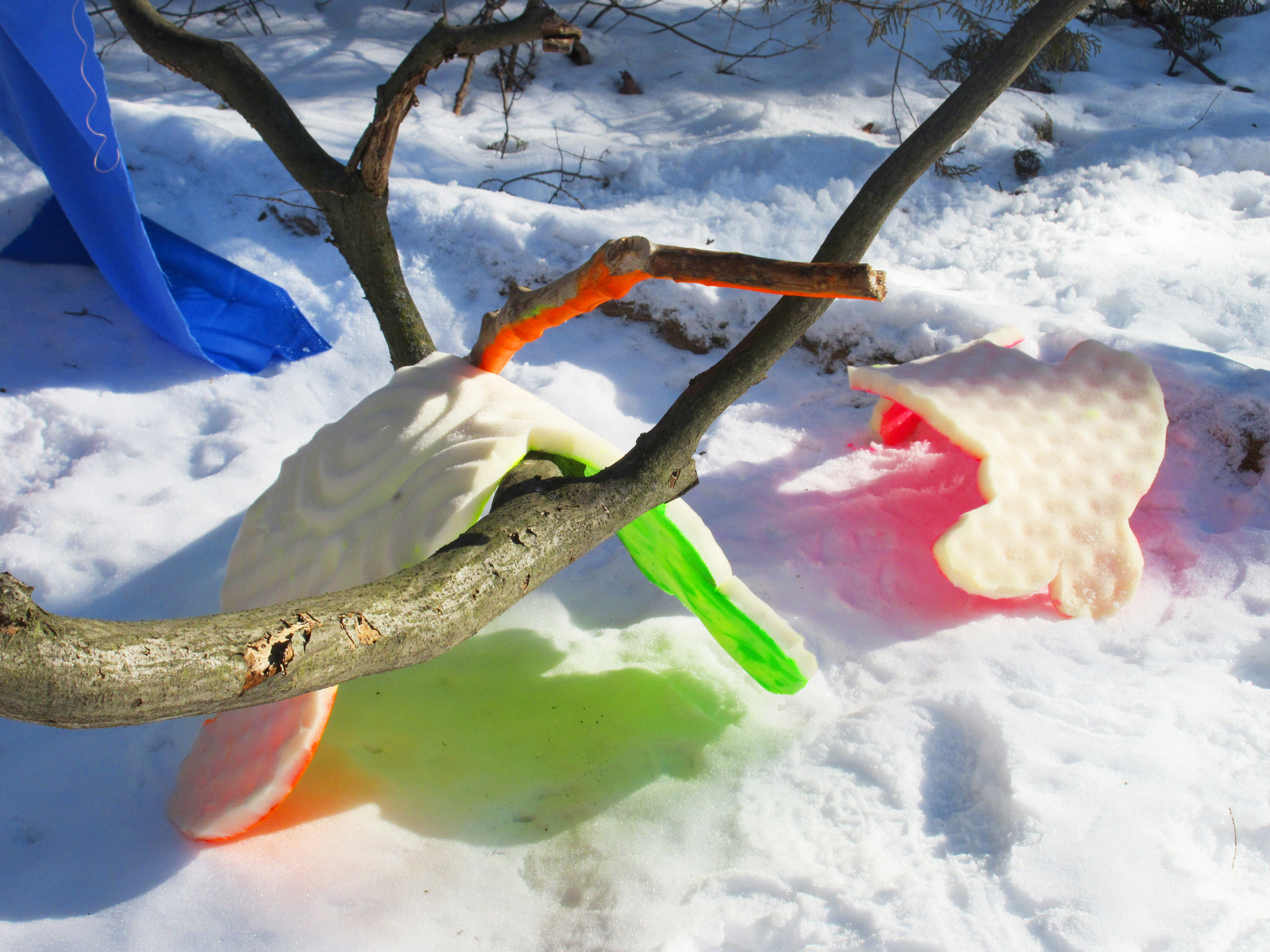 Competing with the Wind