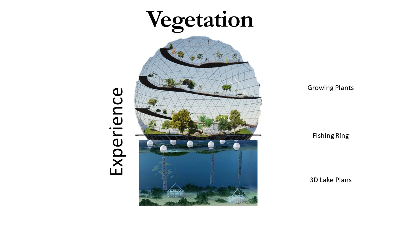 Toronto's Floating Gardens