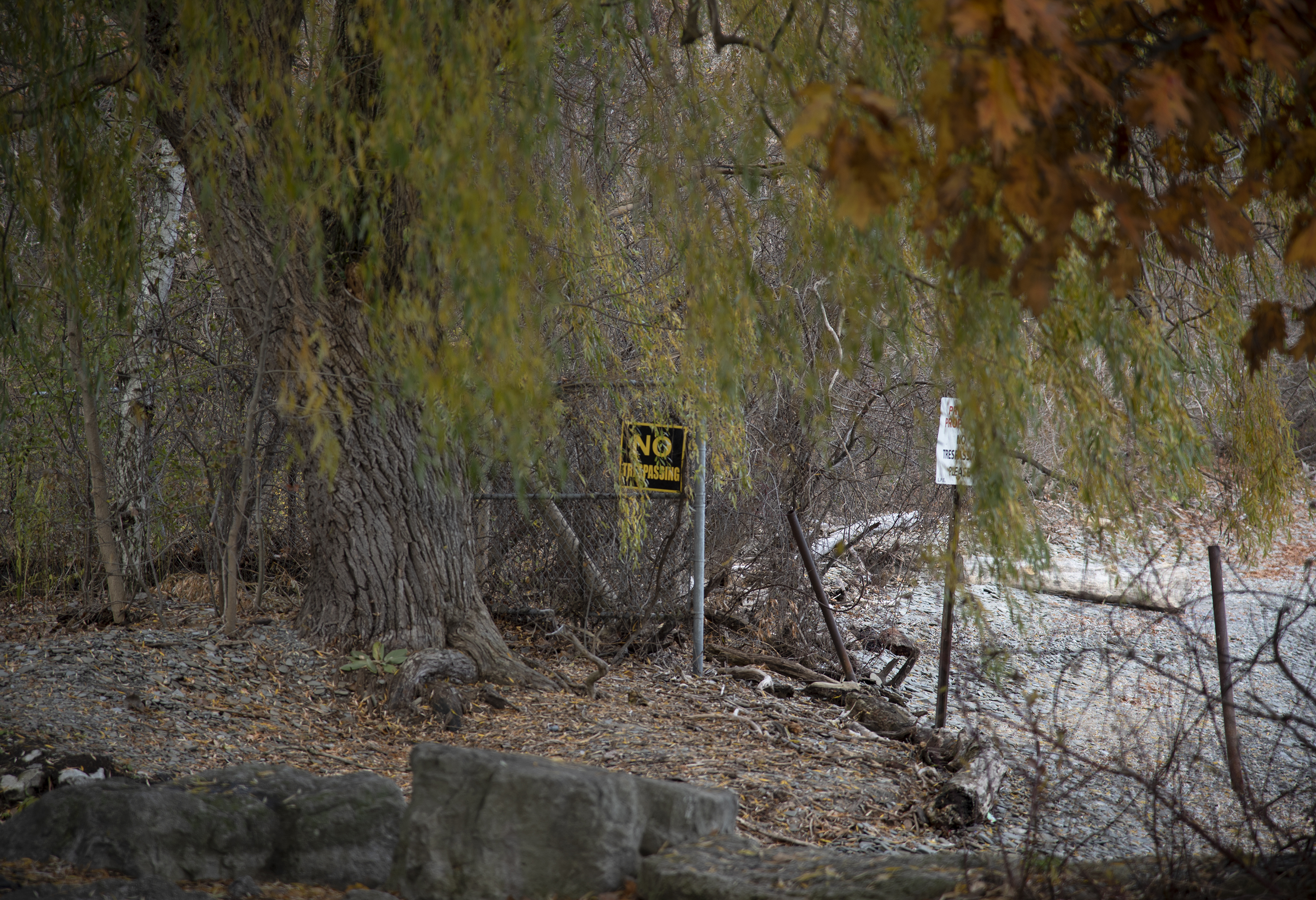 Where We Used to Walk