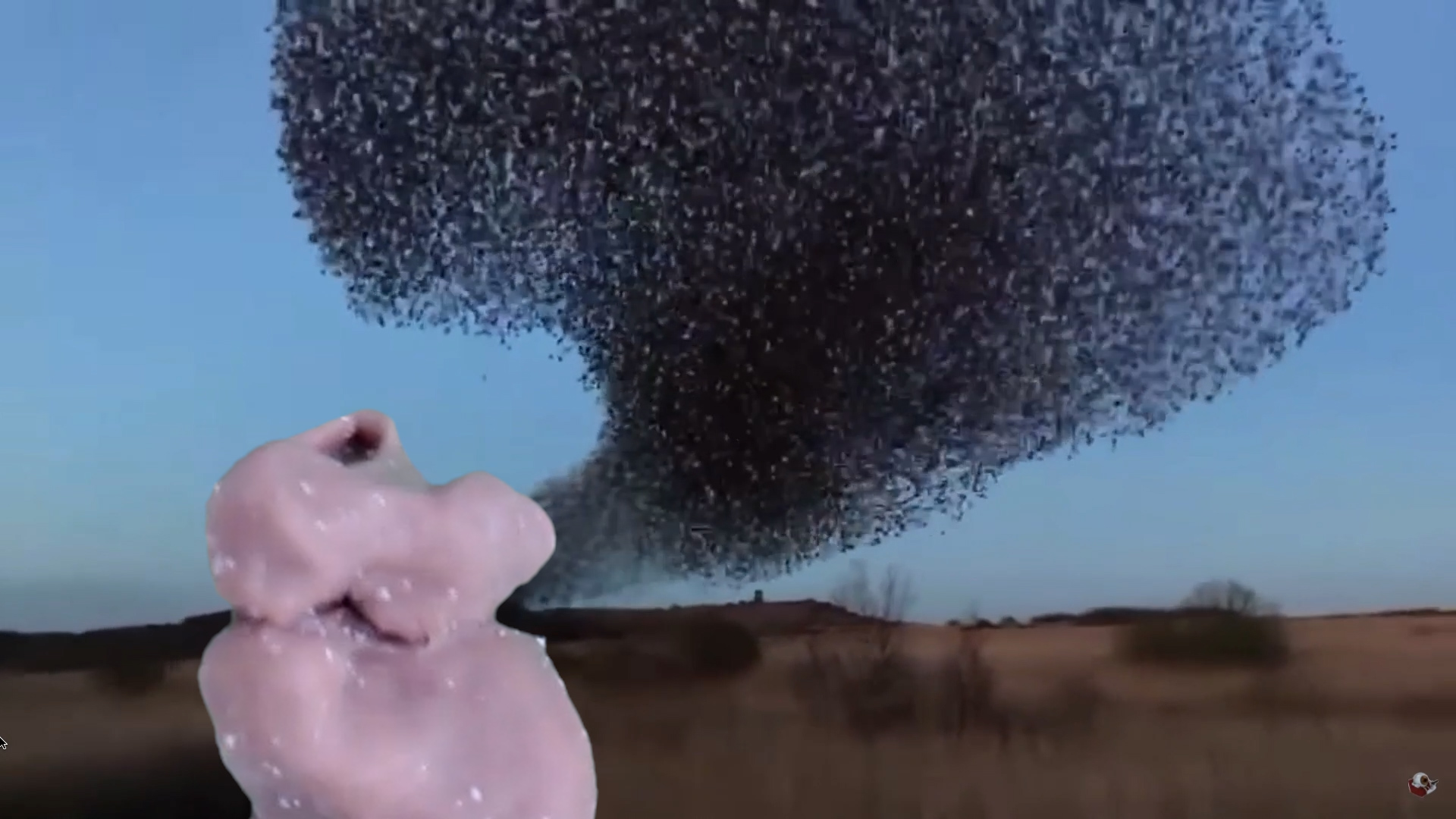 Still Images from "Of Love and Flight"