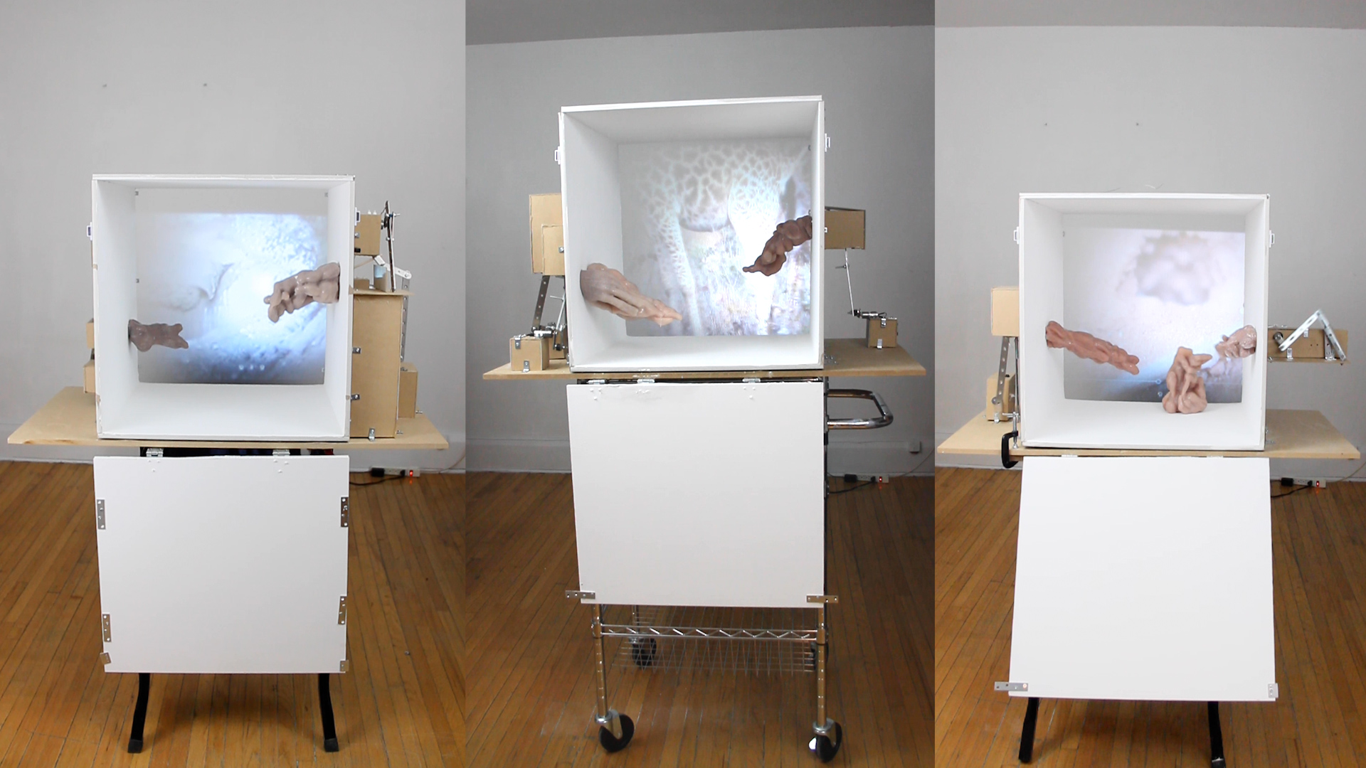 Documentation Images from "Any Part Can Be a Genesis" Installation & Art Objects