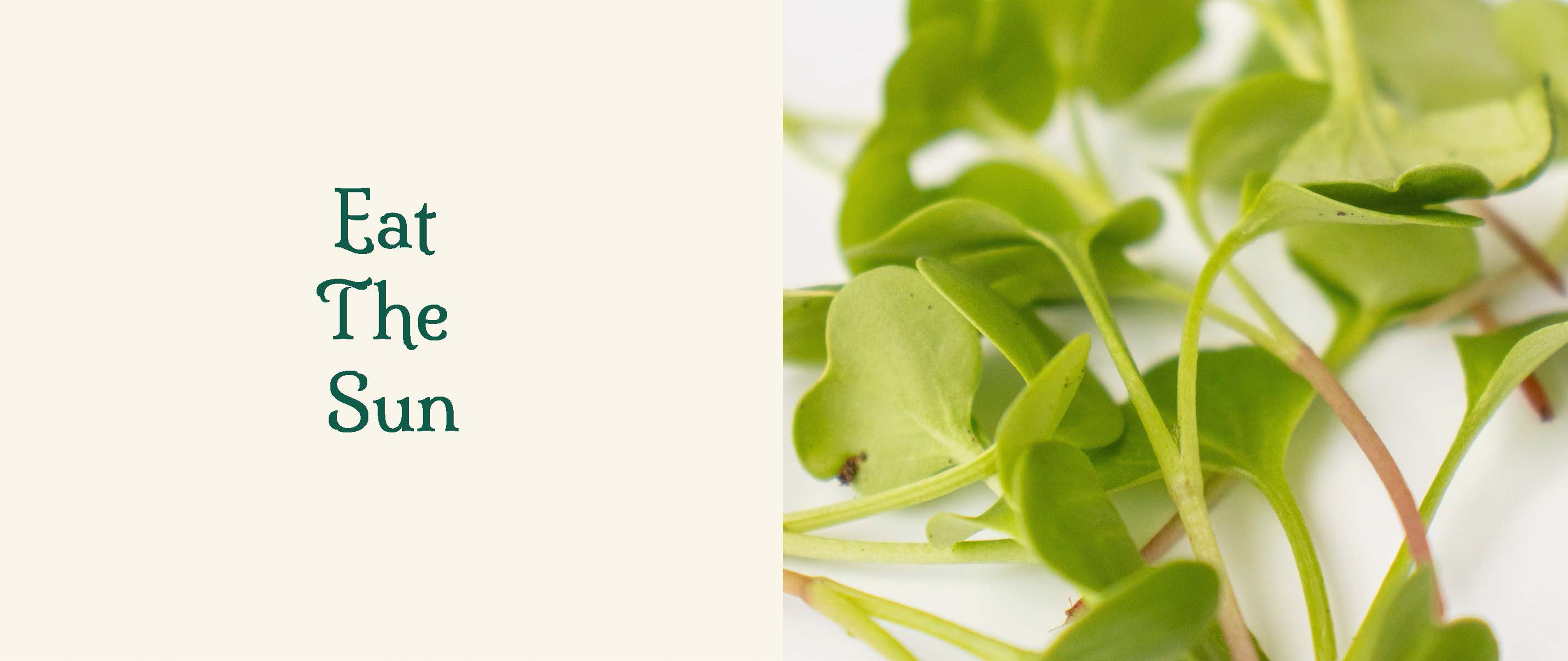 Recipe For A Garden