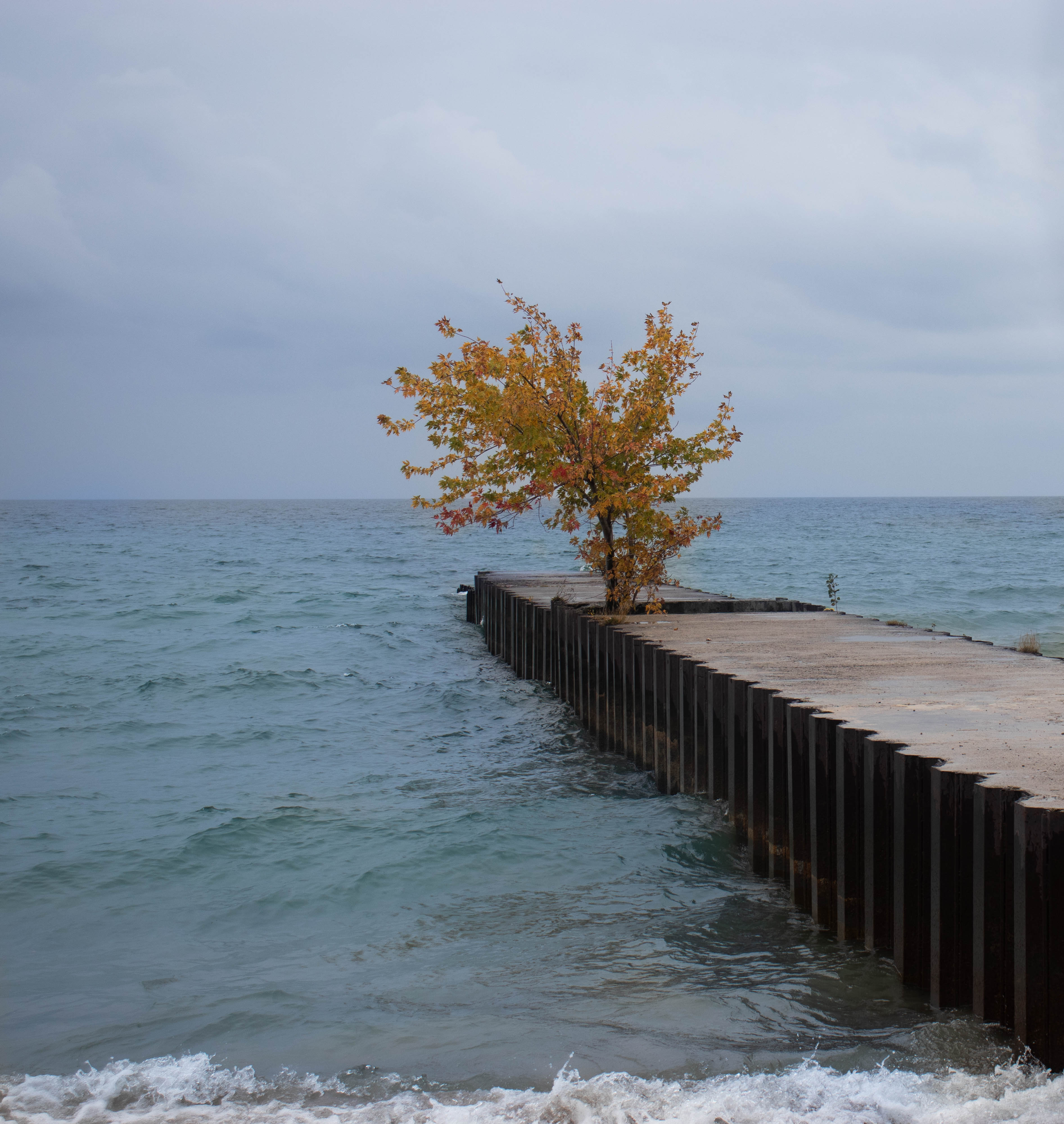 Toronto Island