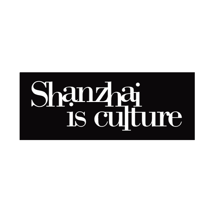Shanzhai is culture
