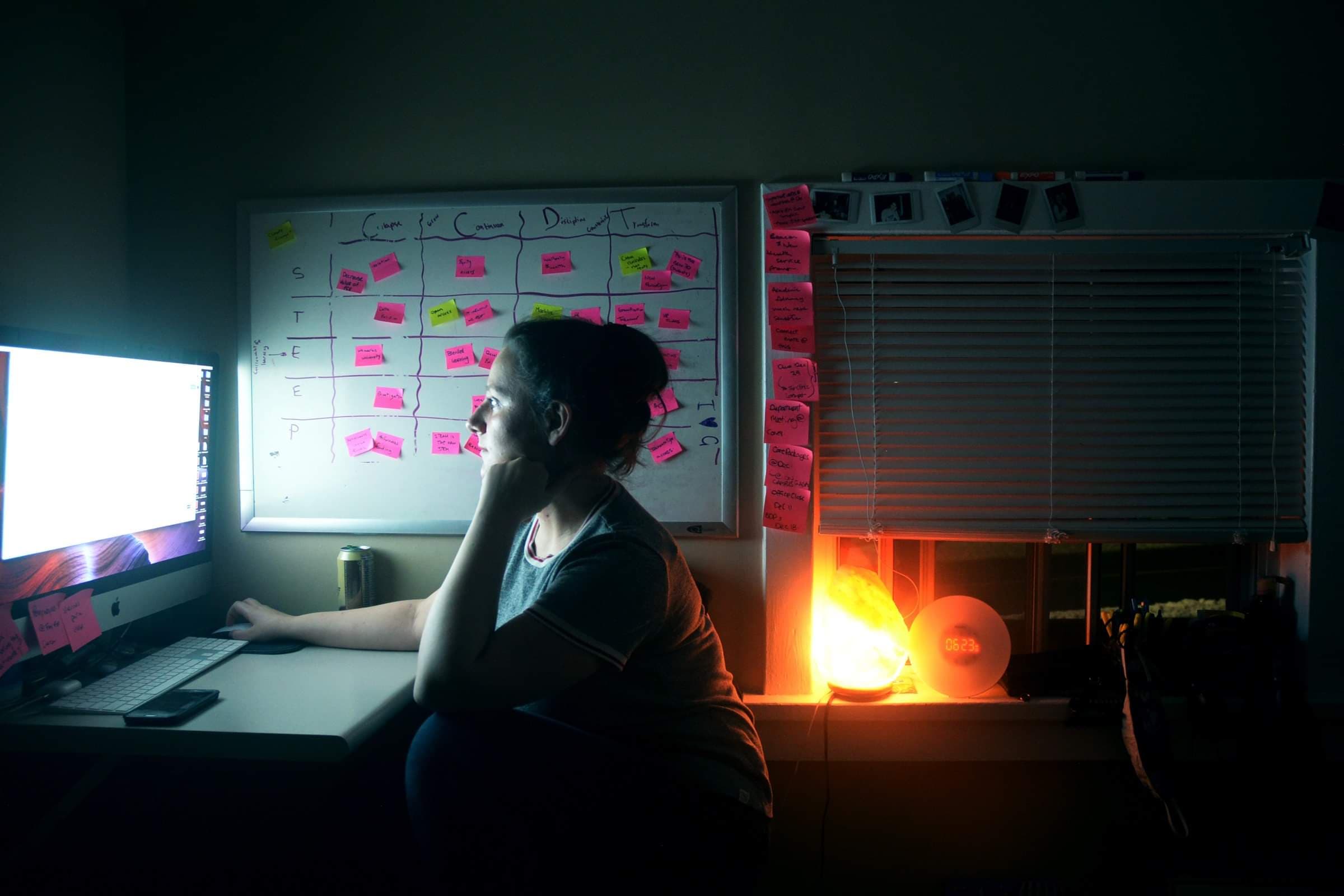 Future of Online and Digital Learning in Post-Secondary Art Institutions