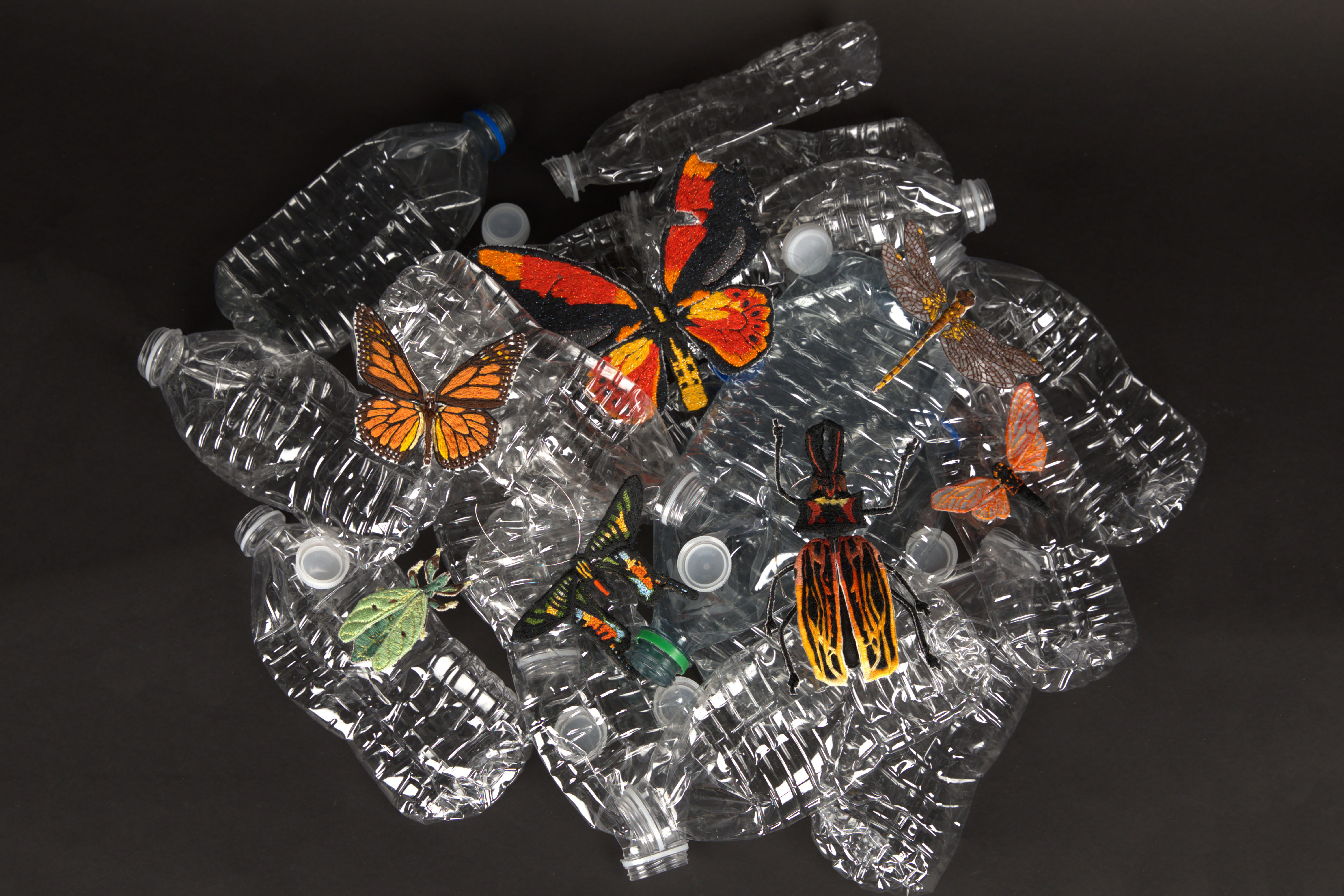 Threads of Life: A Tapestry of Endangered Insects in garbages