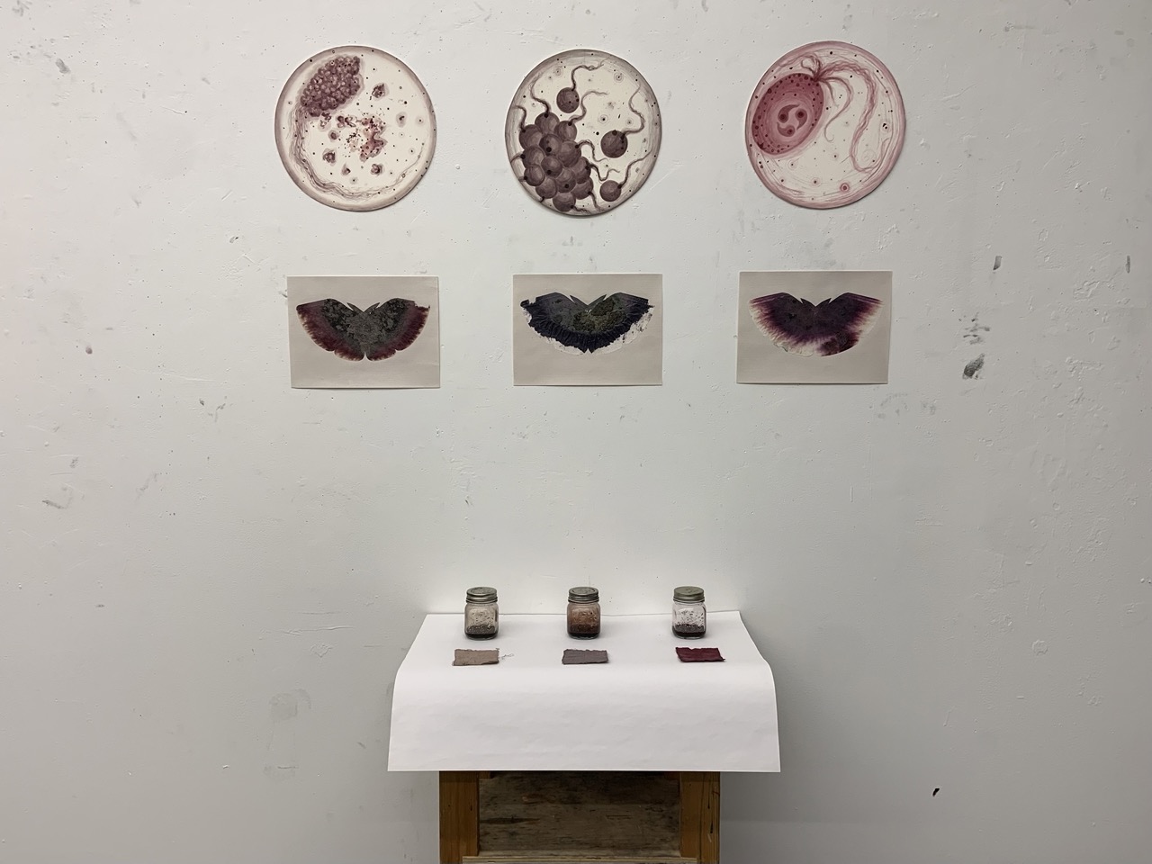 Portraits in Anthocyanins Installation