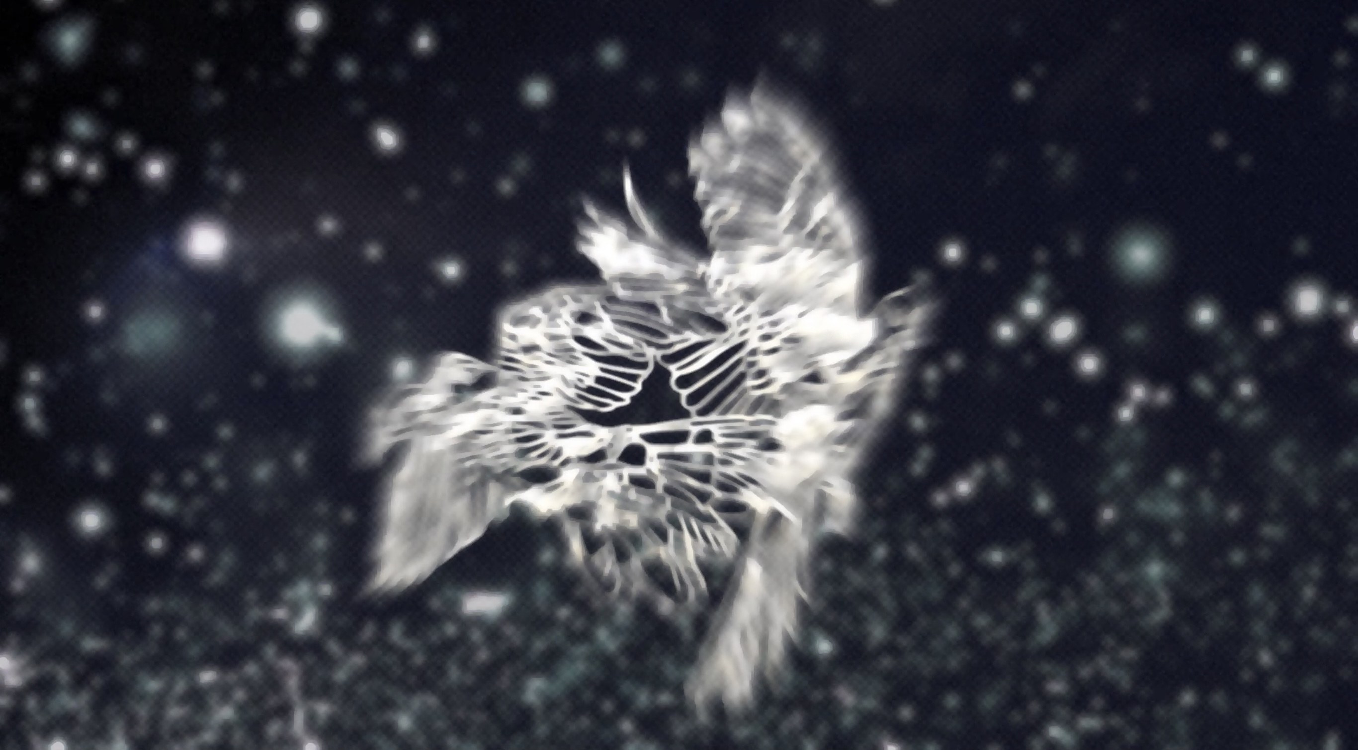 Sha’ar Asher Nisgar