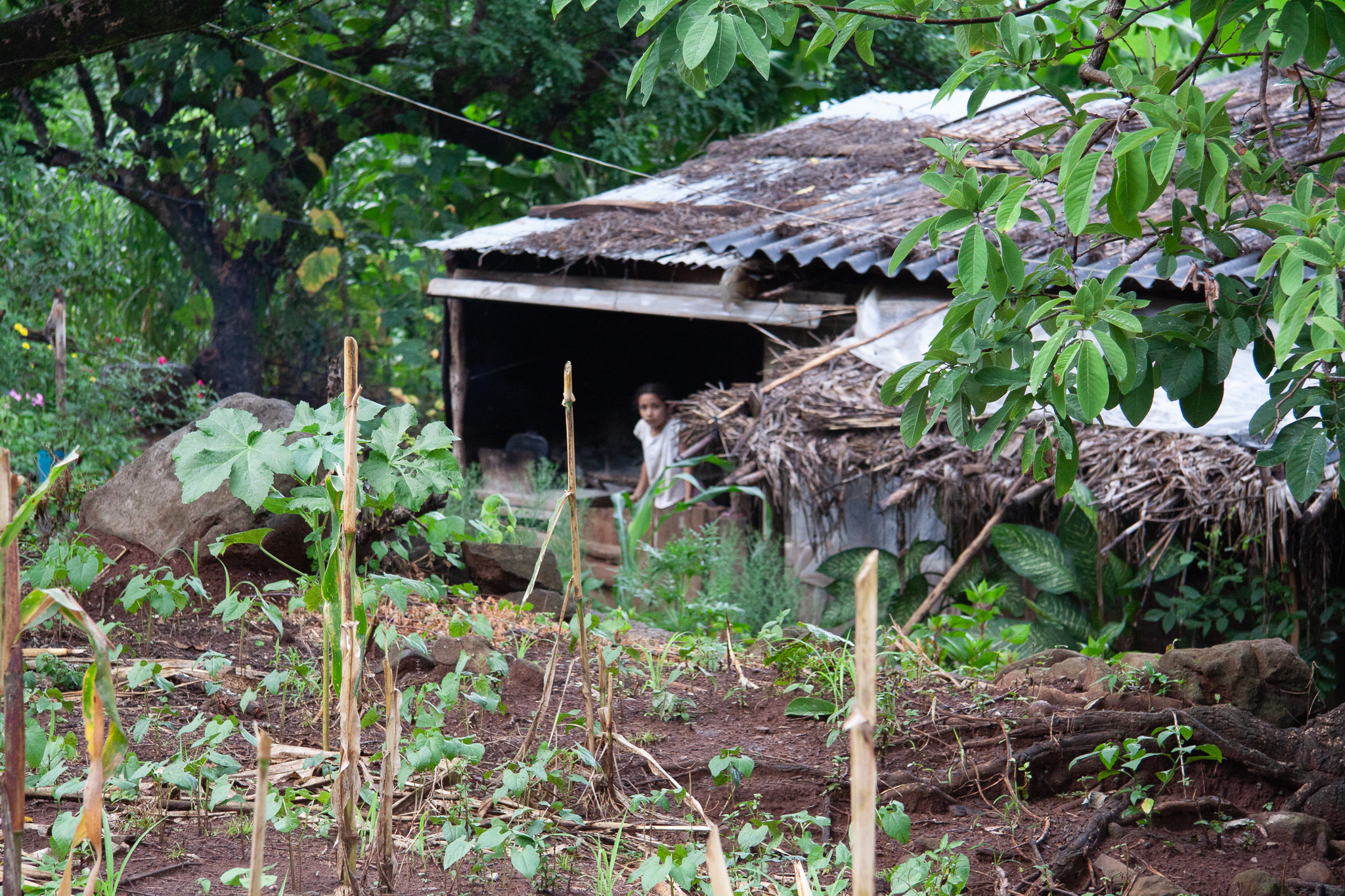 crónicas peculiar de juan j. carbonero (viii)