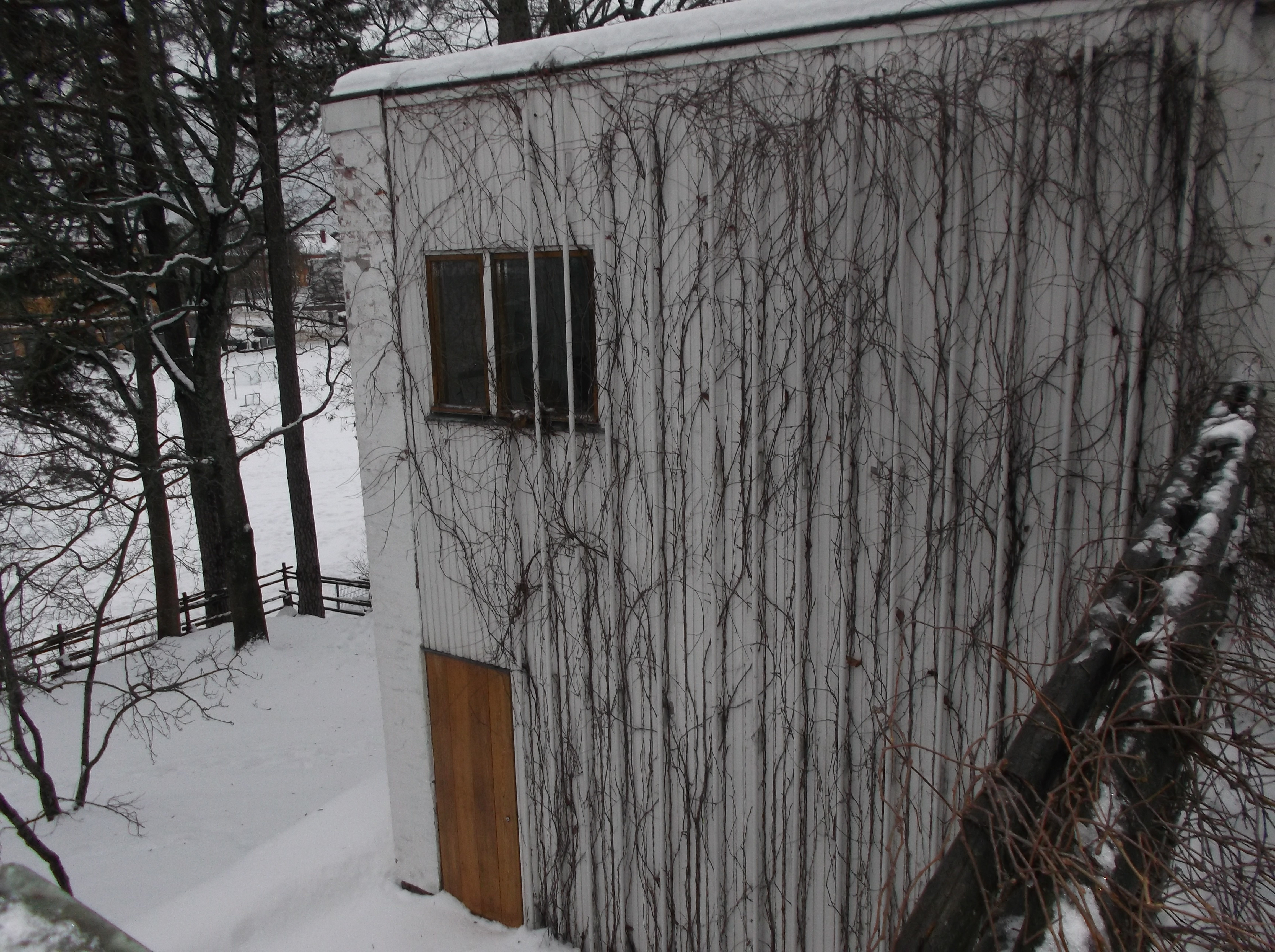 Disenchanting Modernist Myth: Alvar Aalto’s Regional Consciousness of Materiality and Site