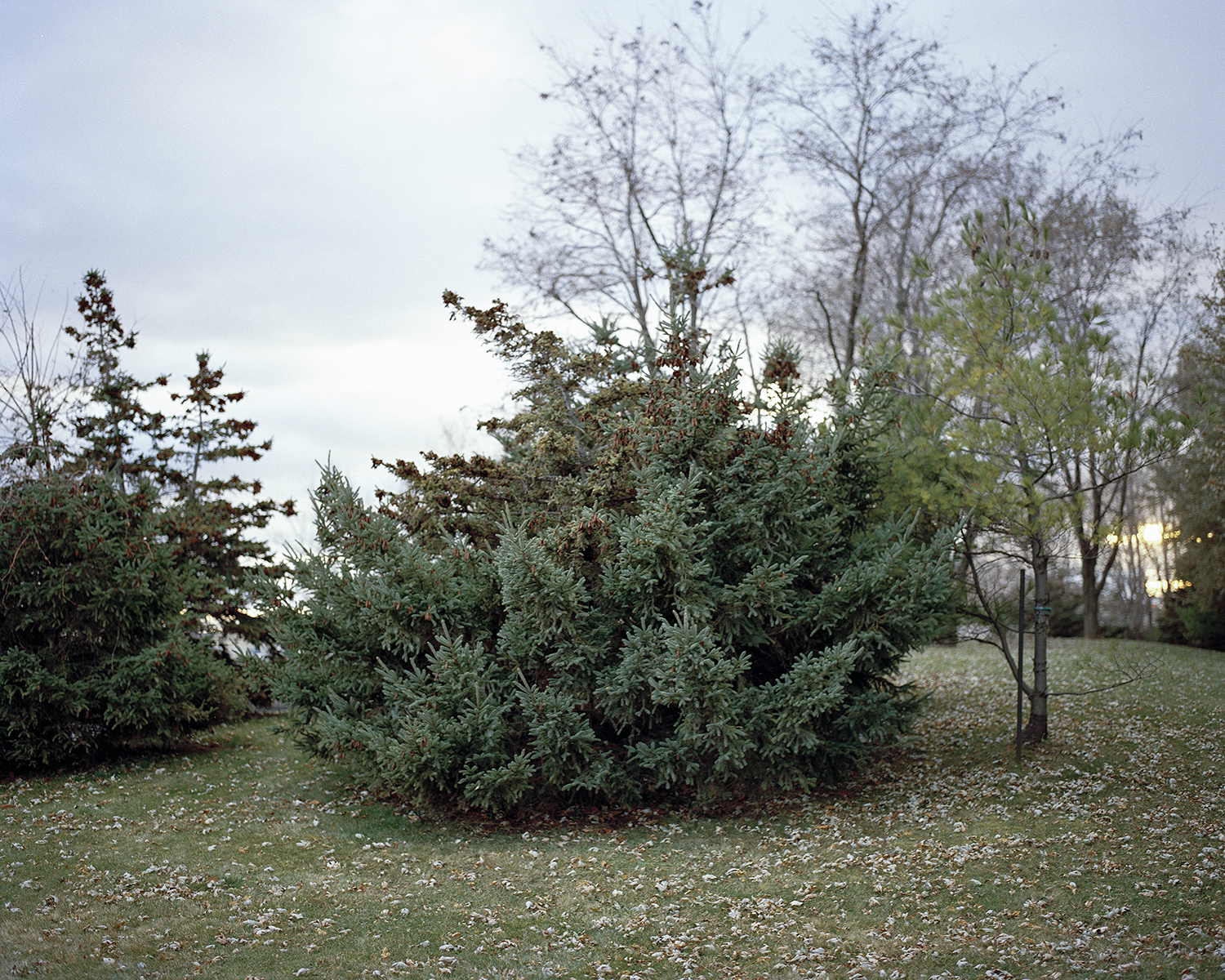 not today, not tomorrow