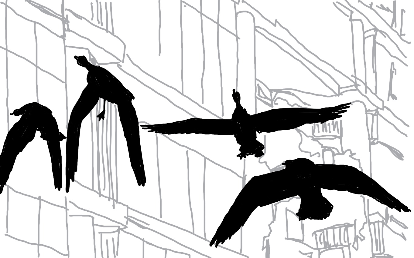 TMA: Eaton Centre Birds