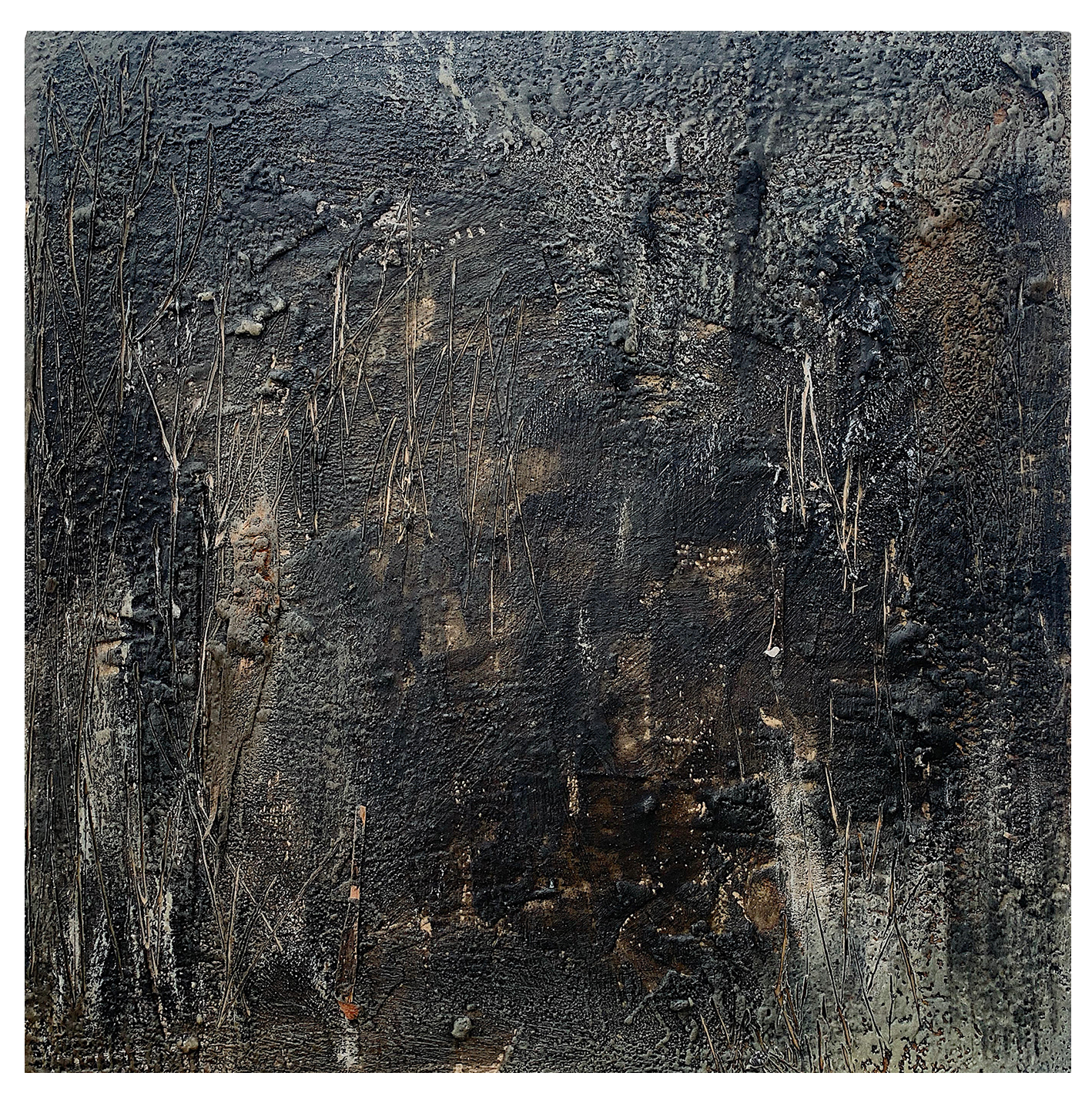 In the Dark of the Night Into the Woods We go