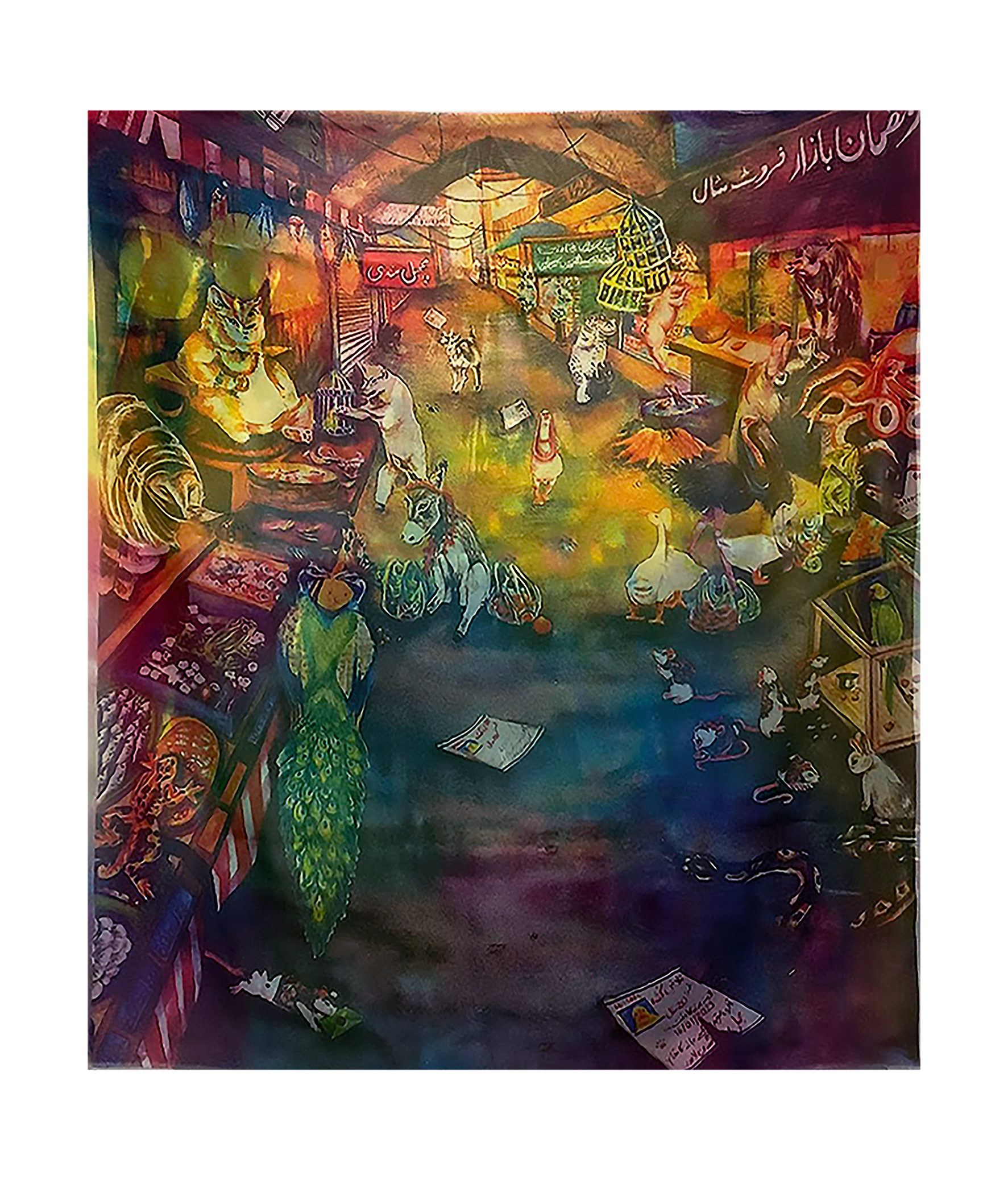 A Game of Cat and Fish