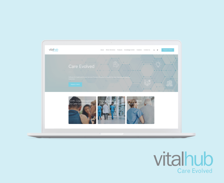 VitalHub Company Website