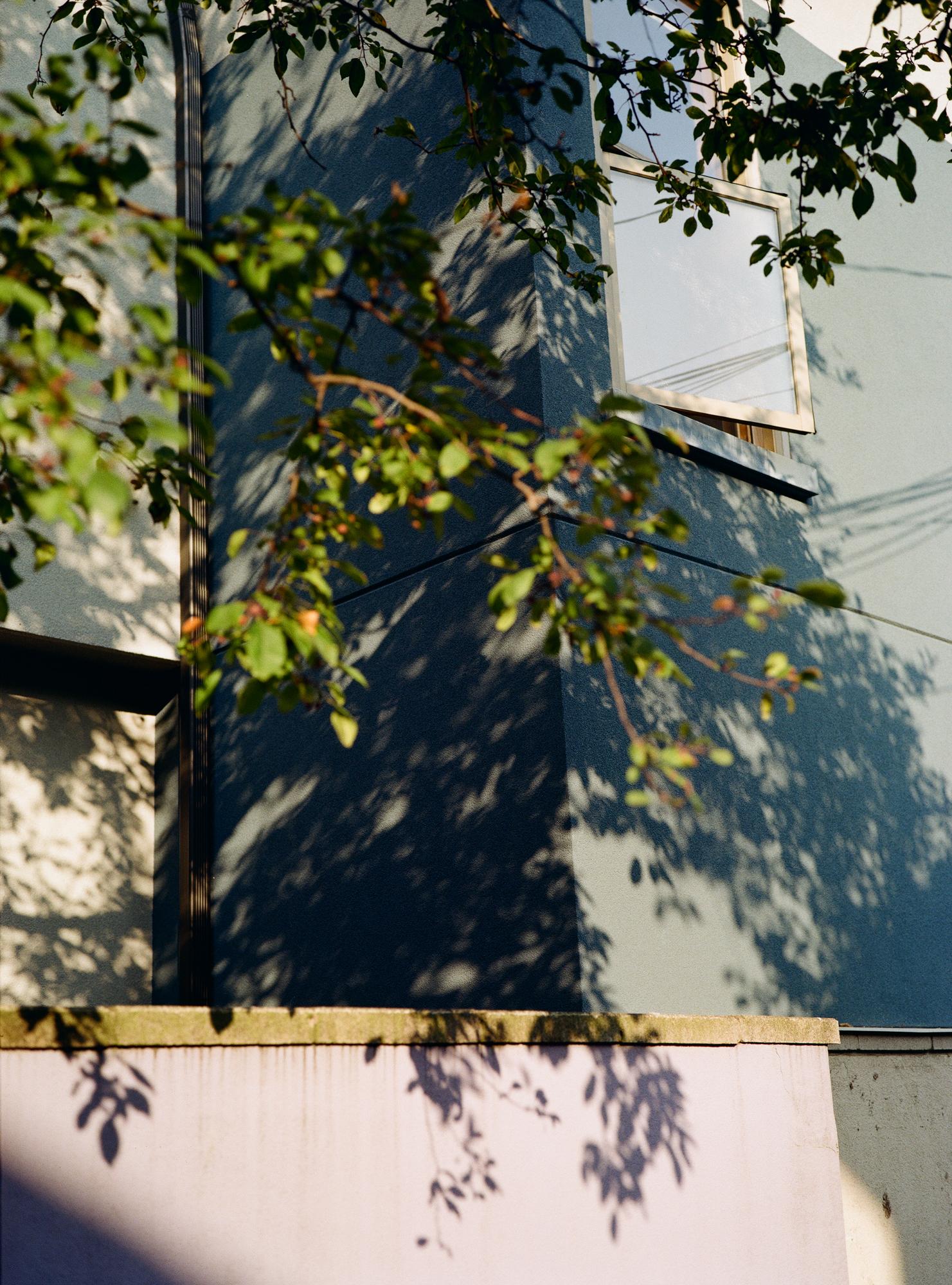 Untitled from Lüften (Tree and House), chromogenic print, 2025.