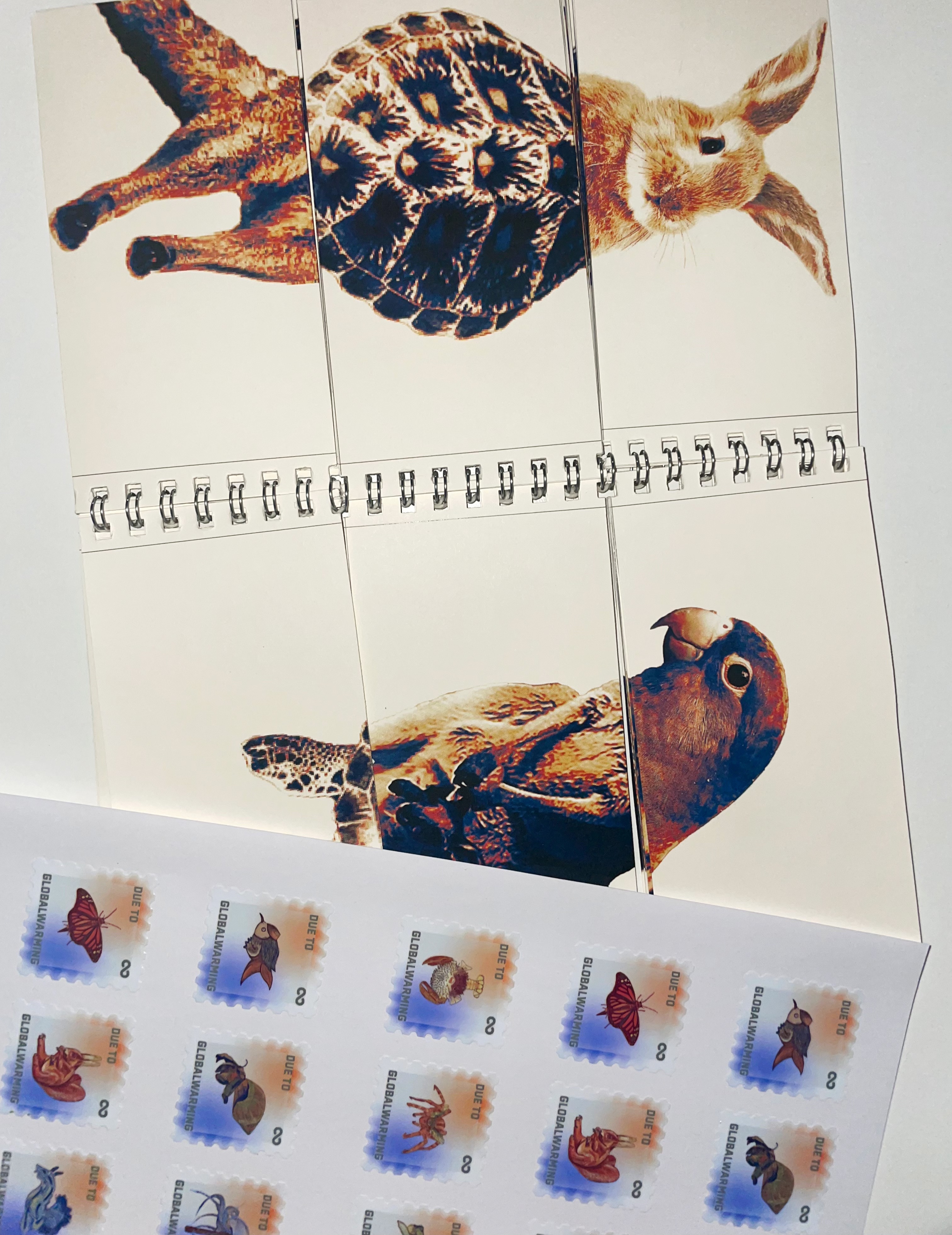 DUE TO GLOBAL WARMING...