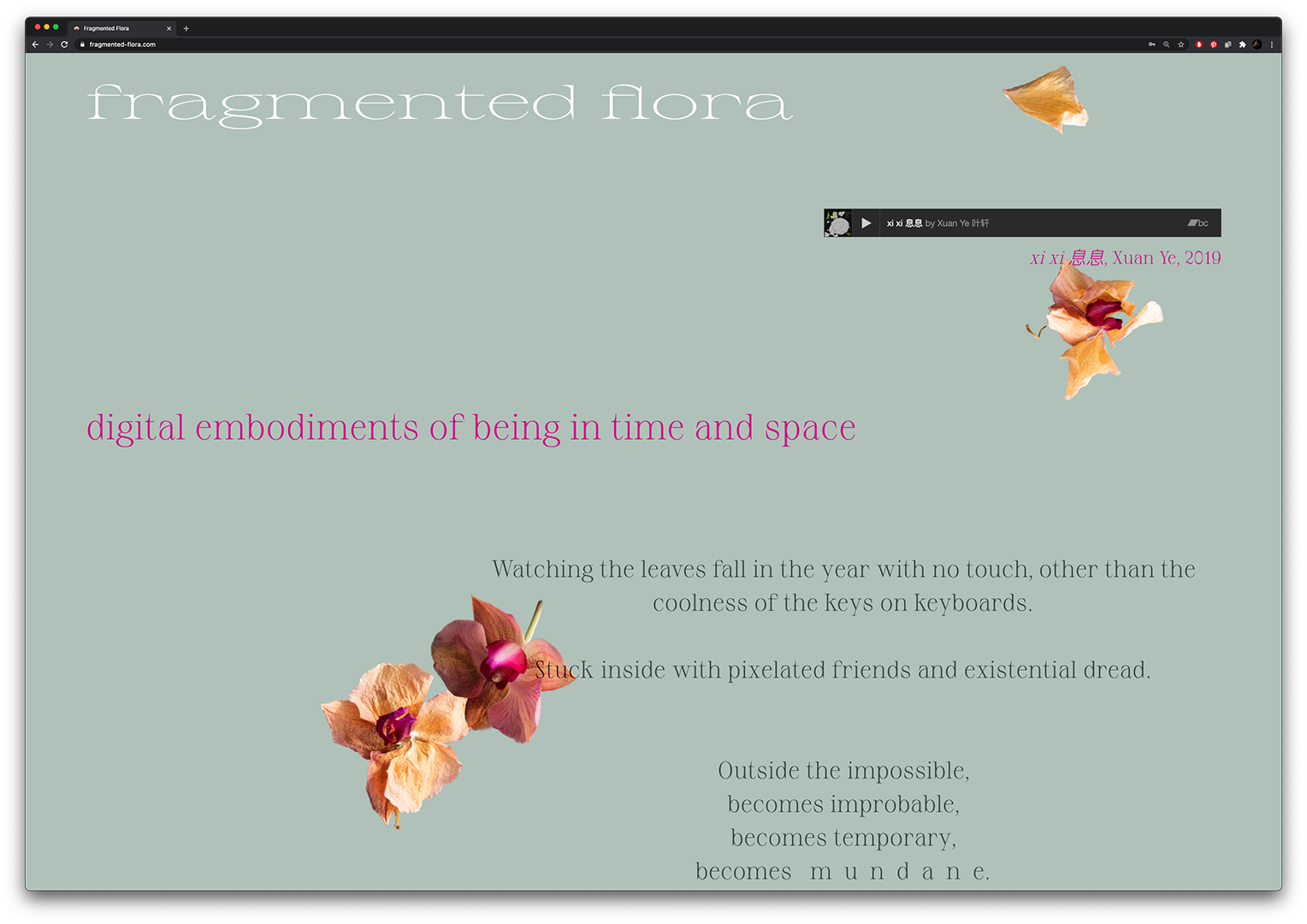 Fragmented Flora: Digital Embodiments of Being in Time and Space