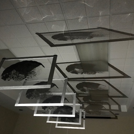 Memories don't Always Last a Lifetime