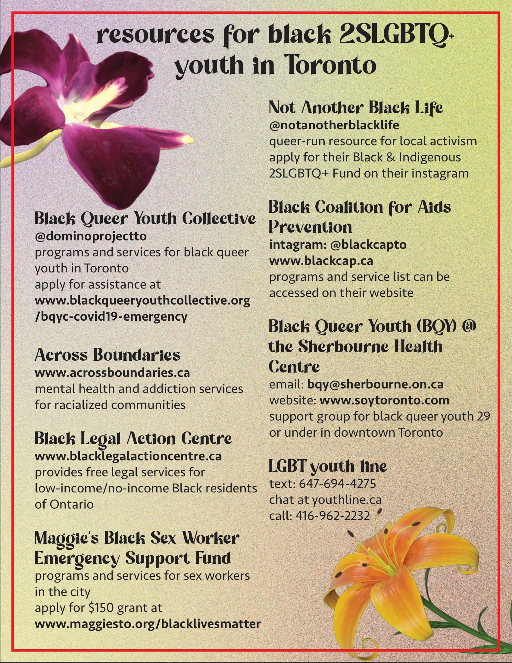 Resources for Black 2SLGBTQ+ Youth in Toronto