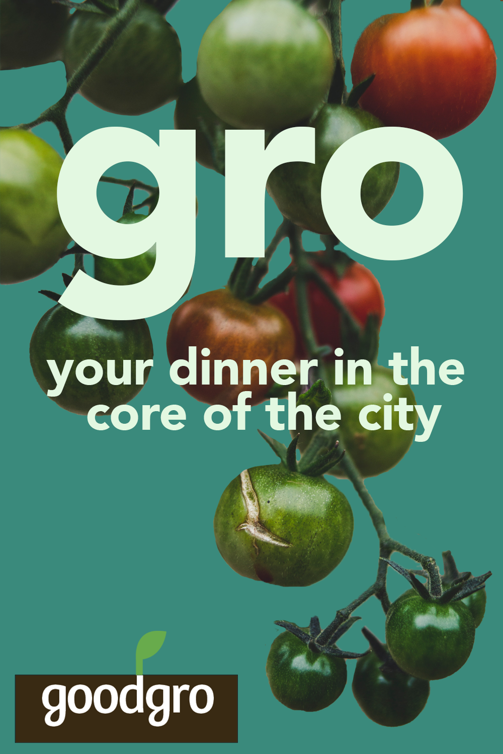 goodgro Urban Garden + Ad Campaign