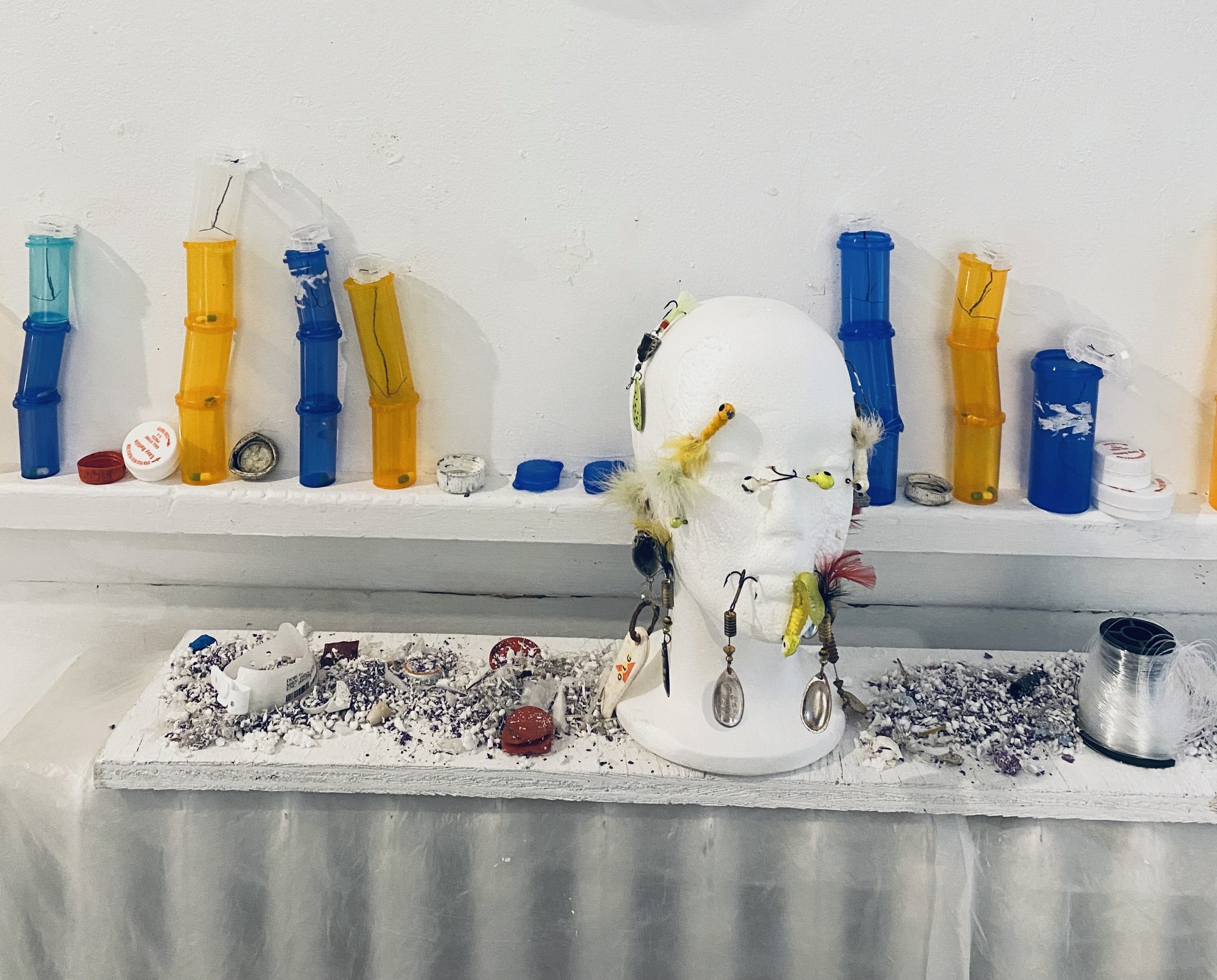 Pachycerianthus remedium, photo by Julius Poncelet Manapul