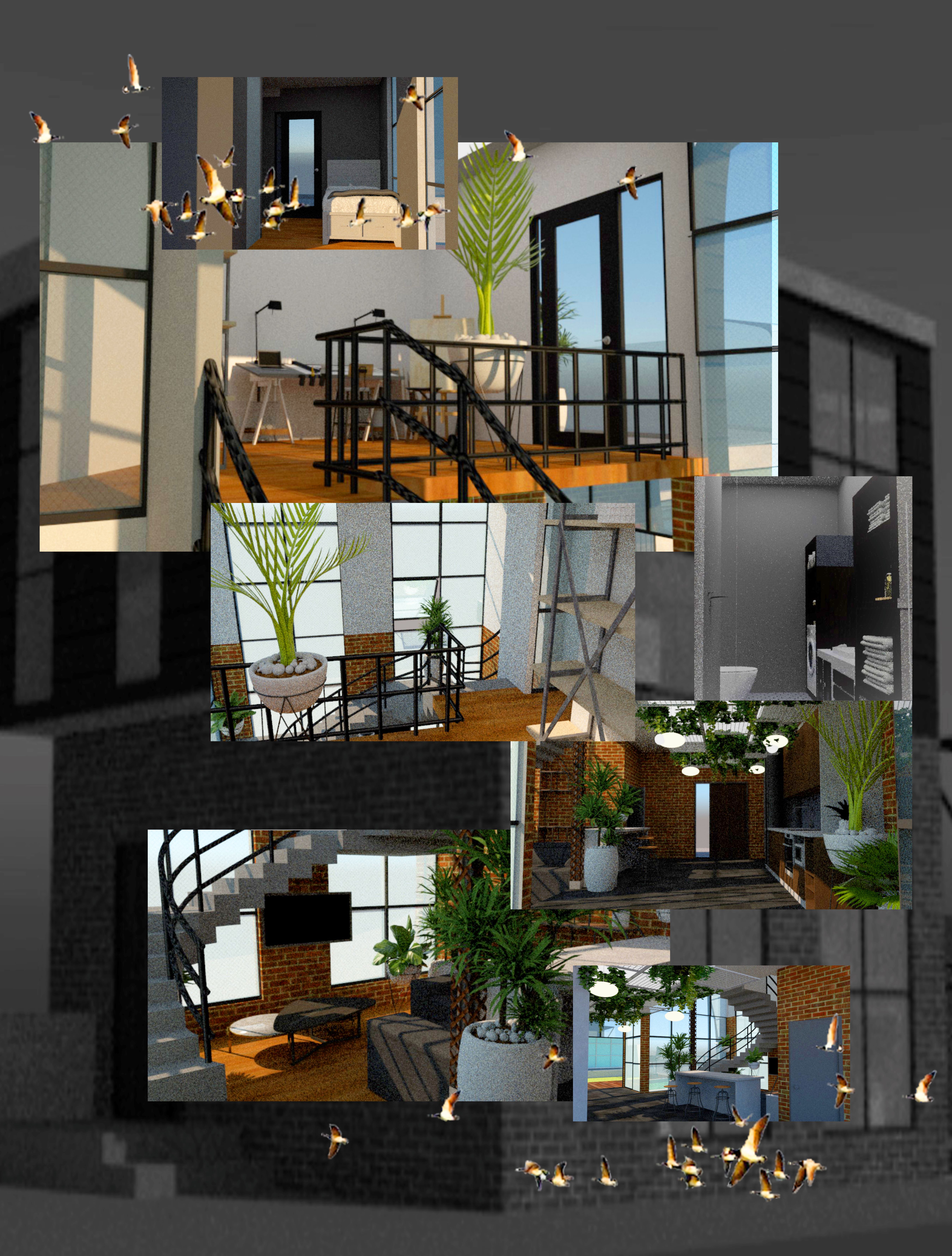 2 Ross St - Laneway Suite Collage 3