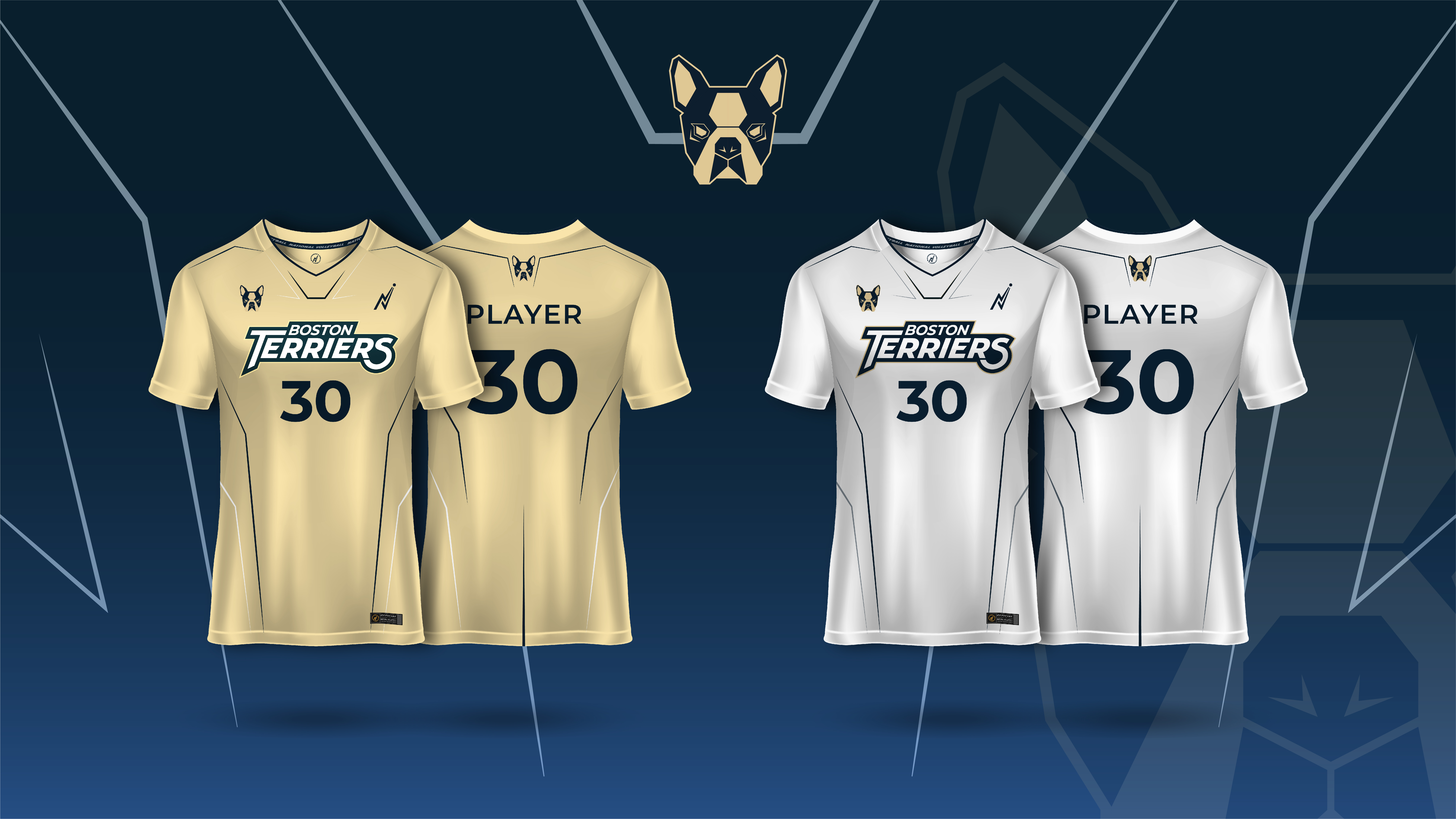 Terriers Jersey 2