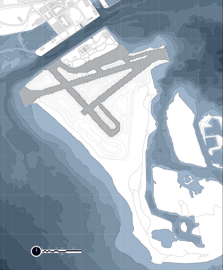 Terminal Succession: Stage 2