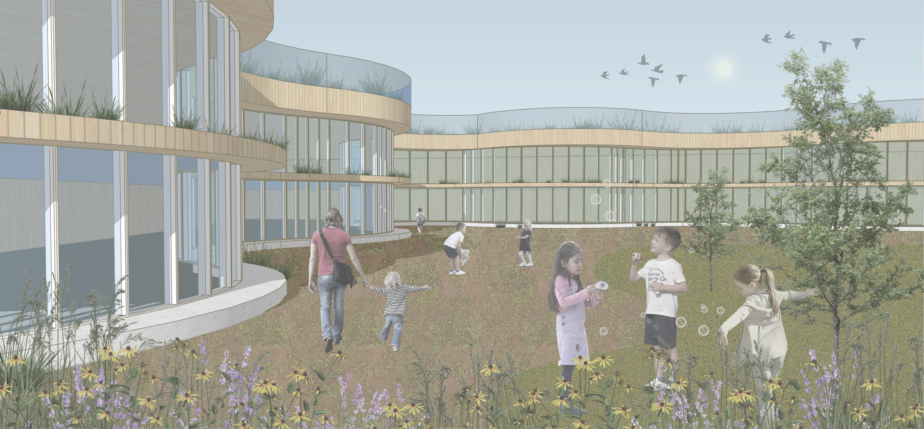 Meadow School: Designing for Childhood Learning in Nature