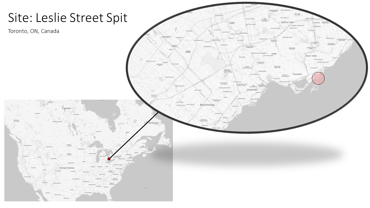 Toronto's Floating Gardens