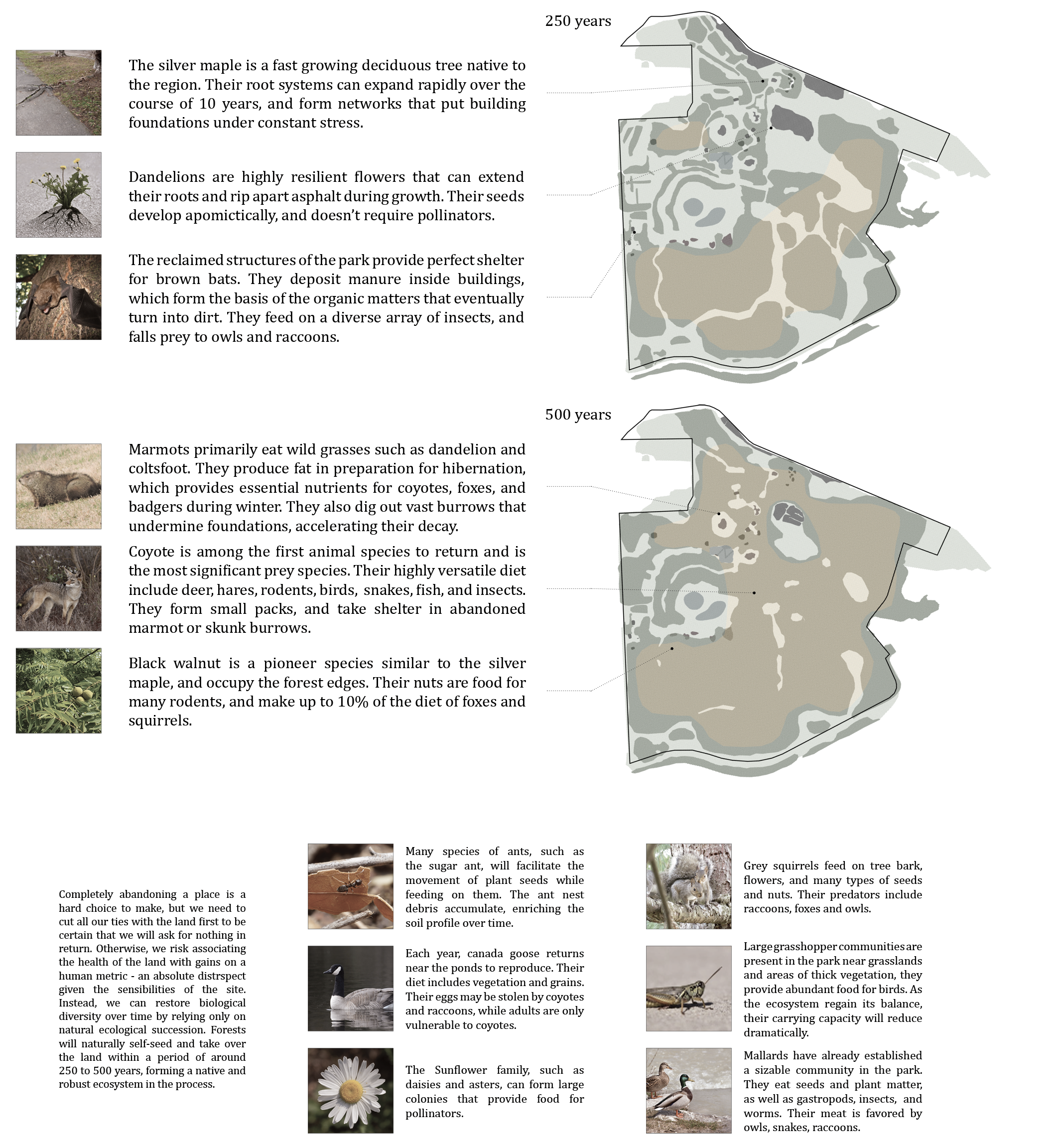 01 For Jurying Consideration