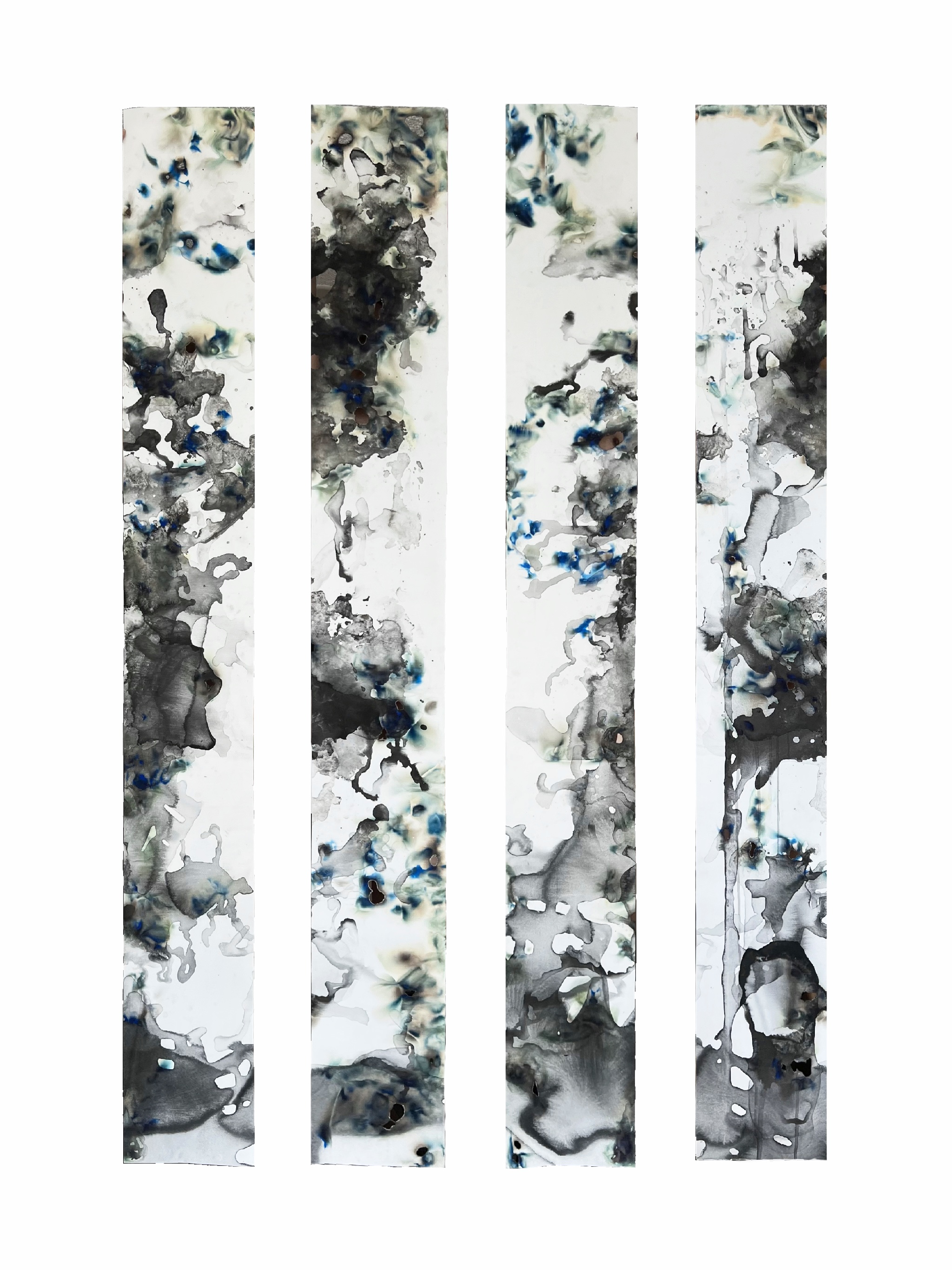 Fire and Imprint: Coexistence in Vacant Space