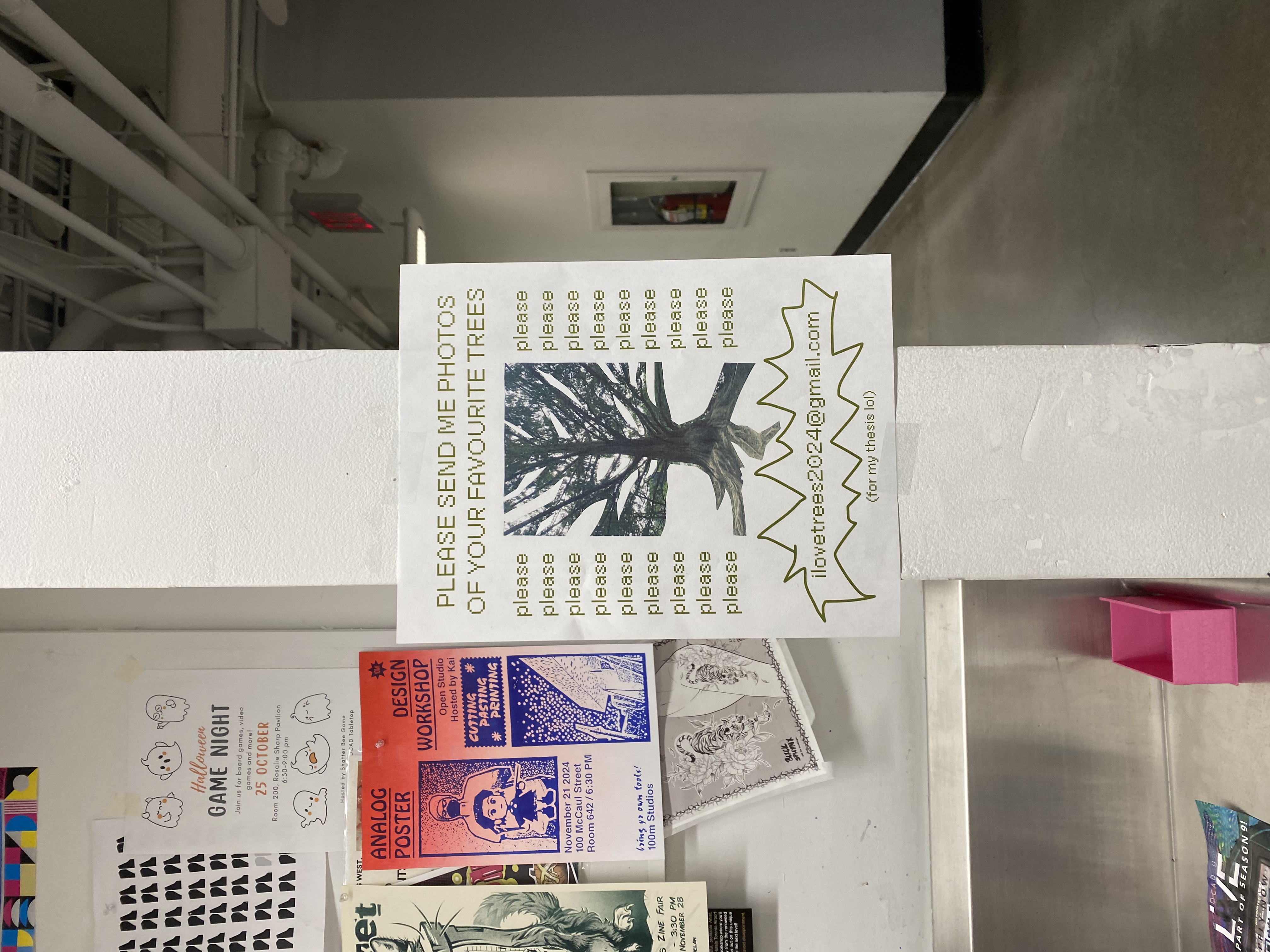 a moment with a tree