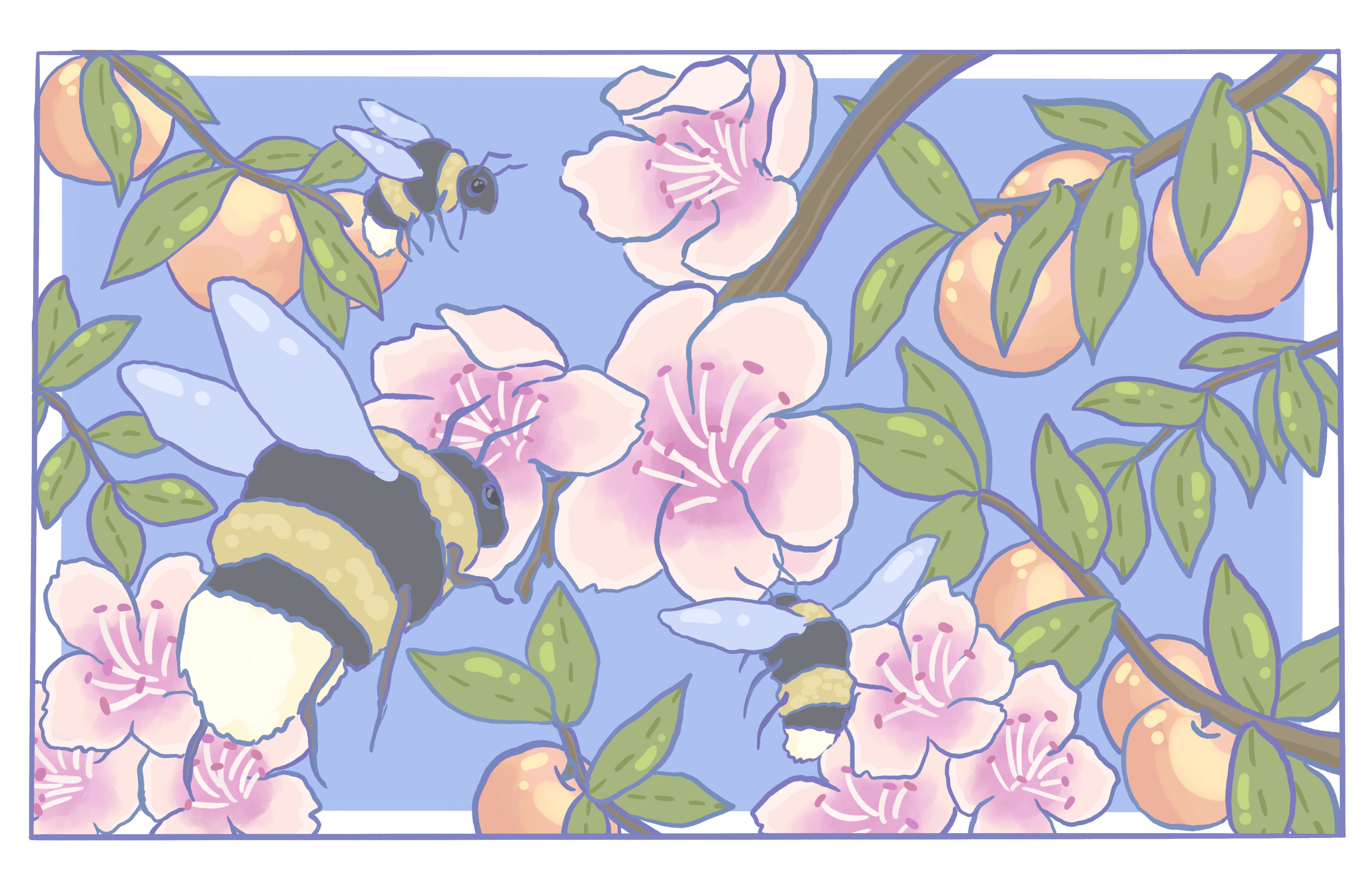 Bees & Peaches