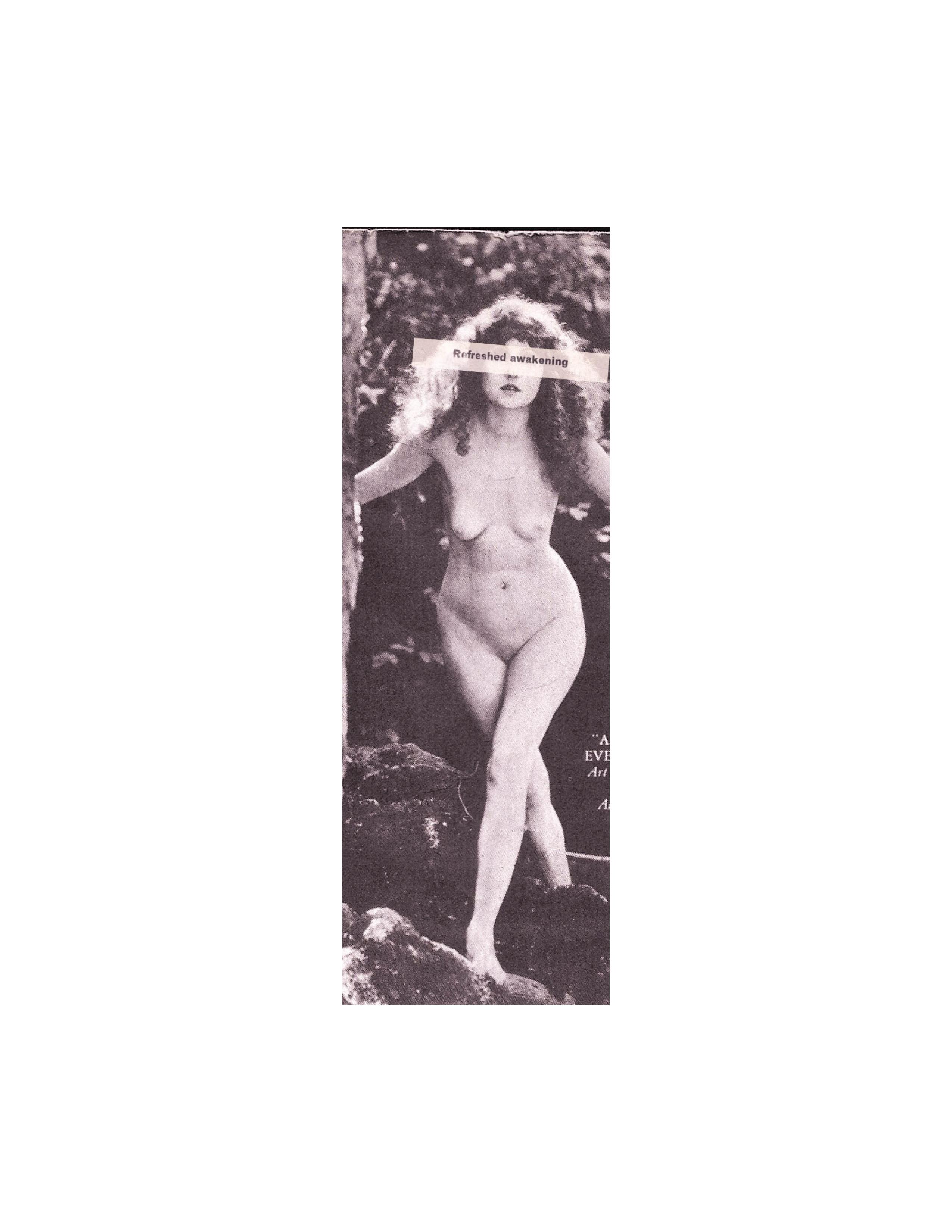 The Ladies of America