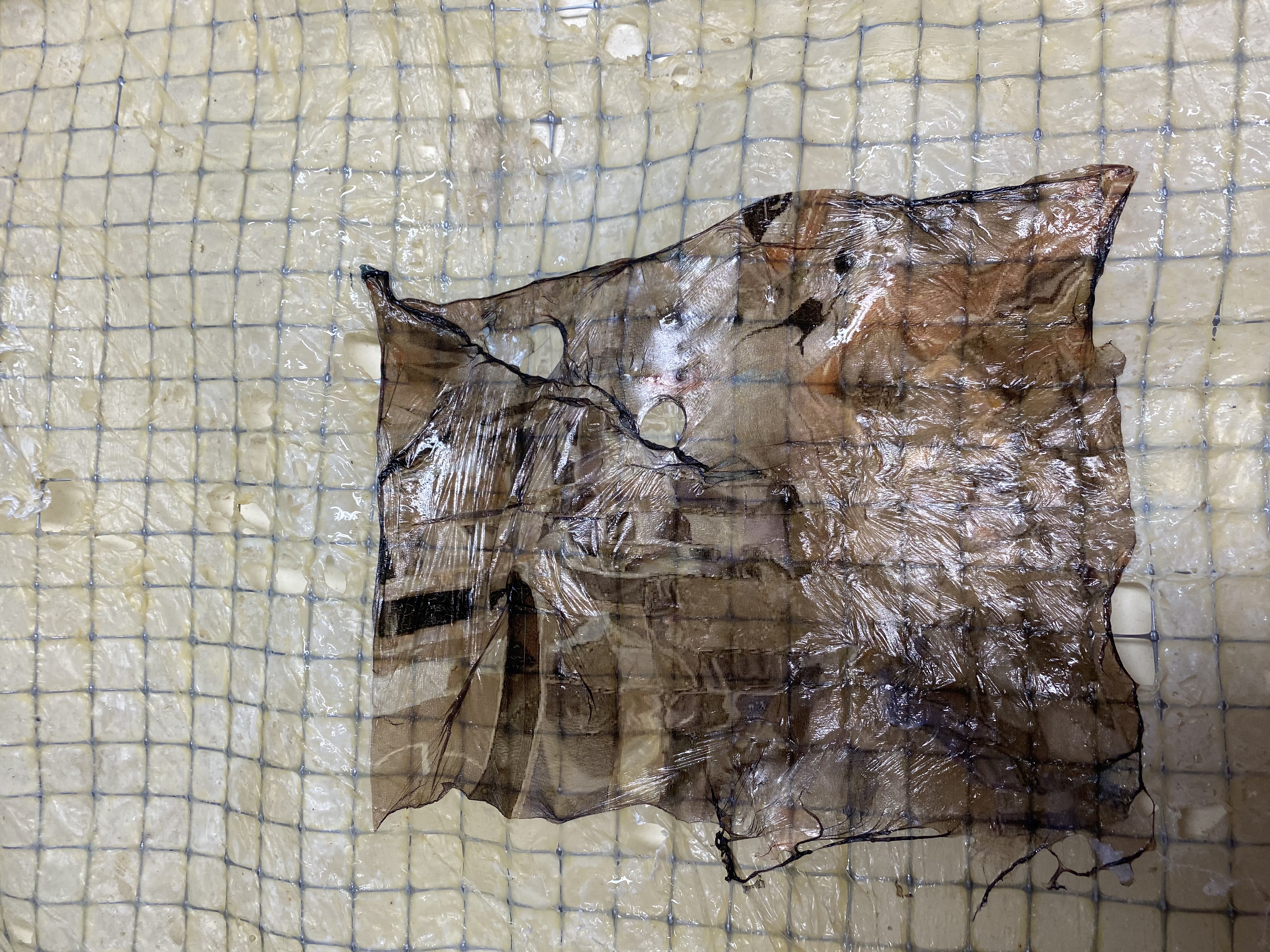 where I end I begin again