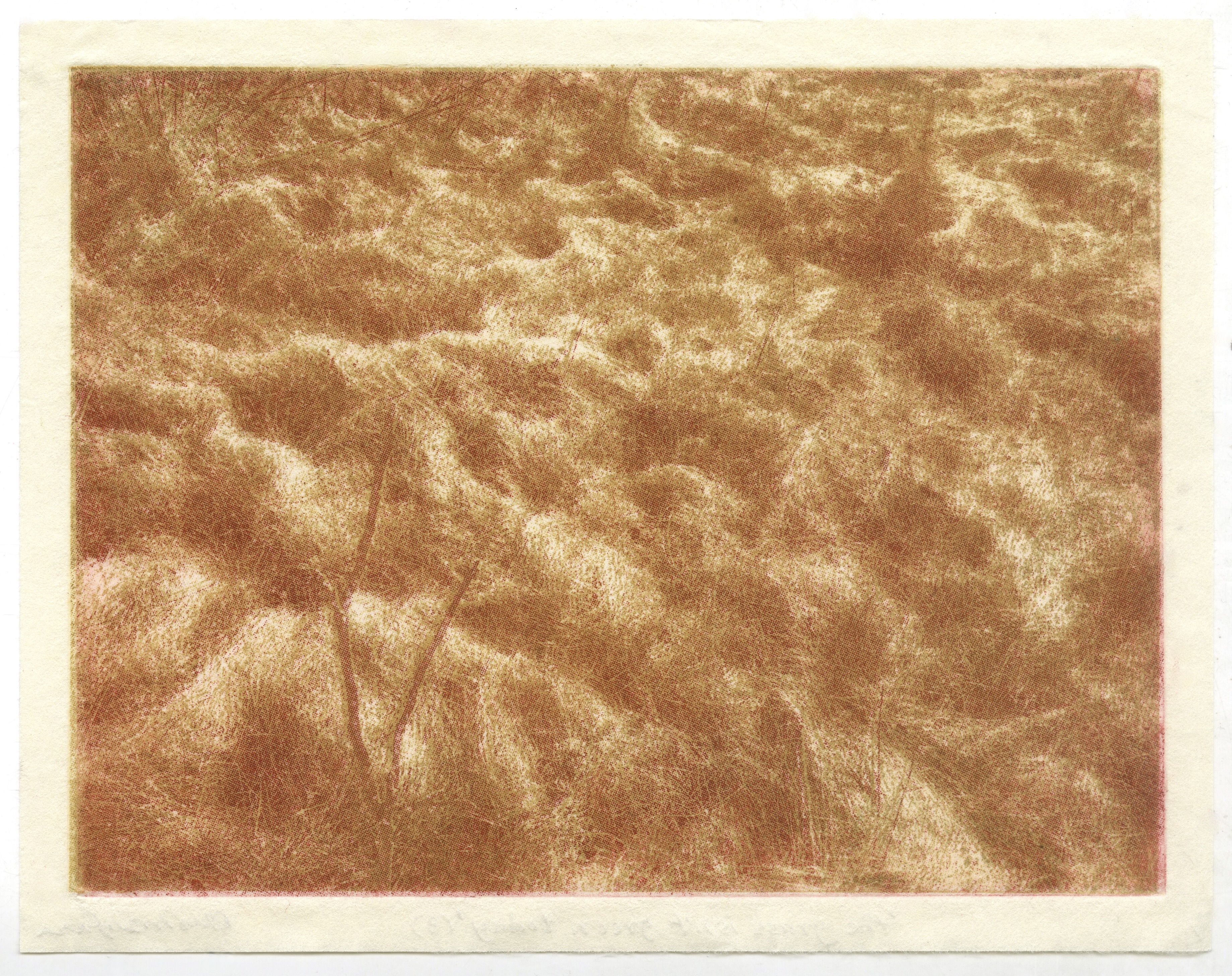 the grass isn't green today