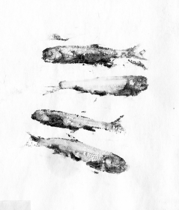 Fish Prints