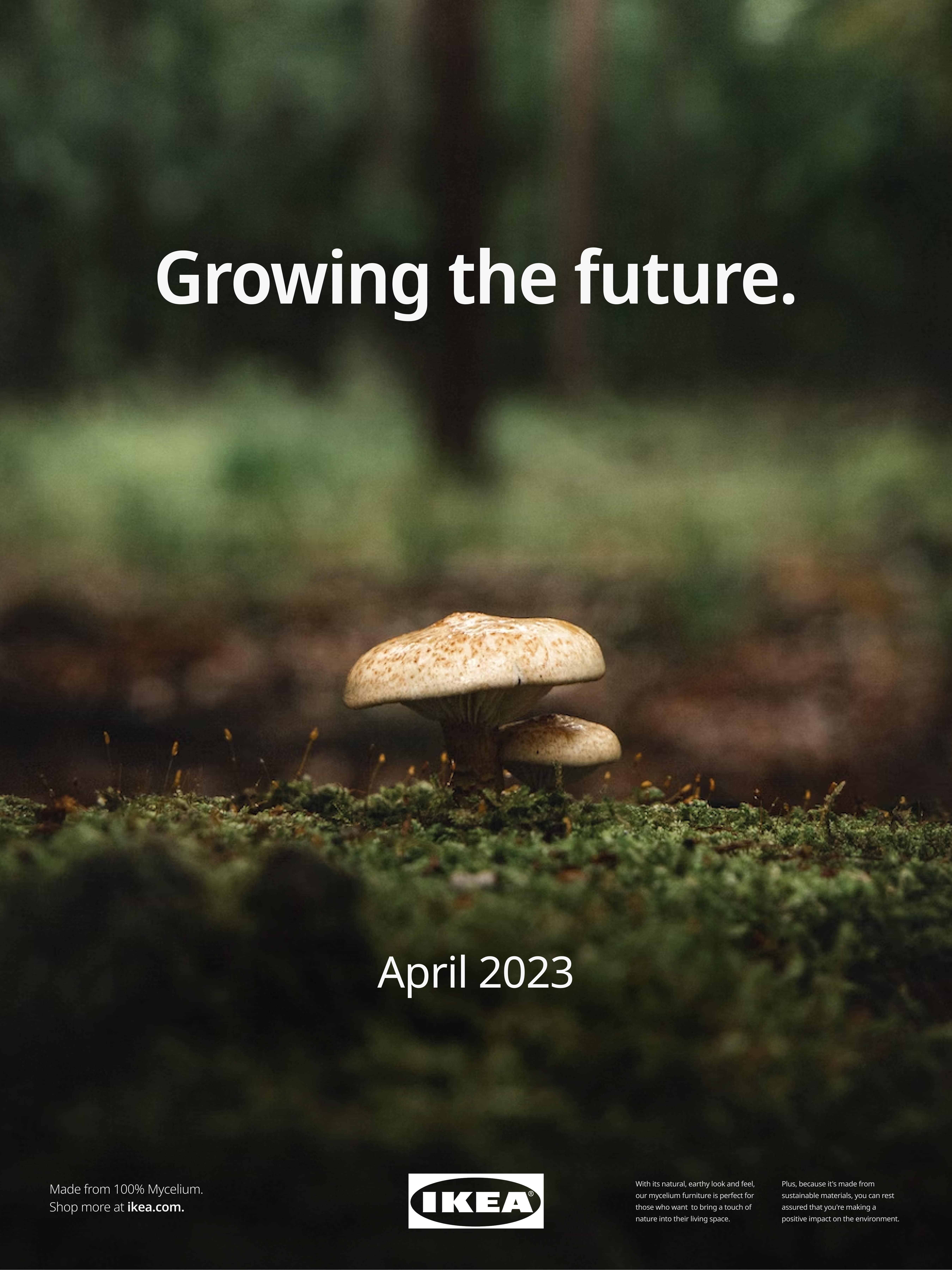 MYCÖ - Growing the Future