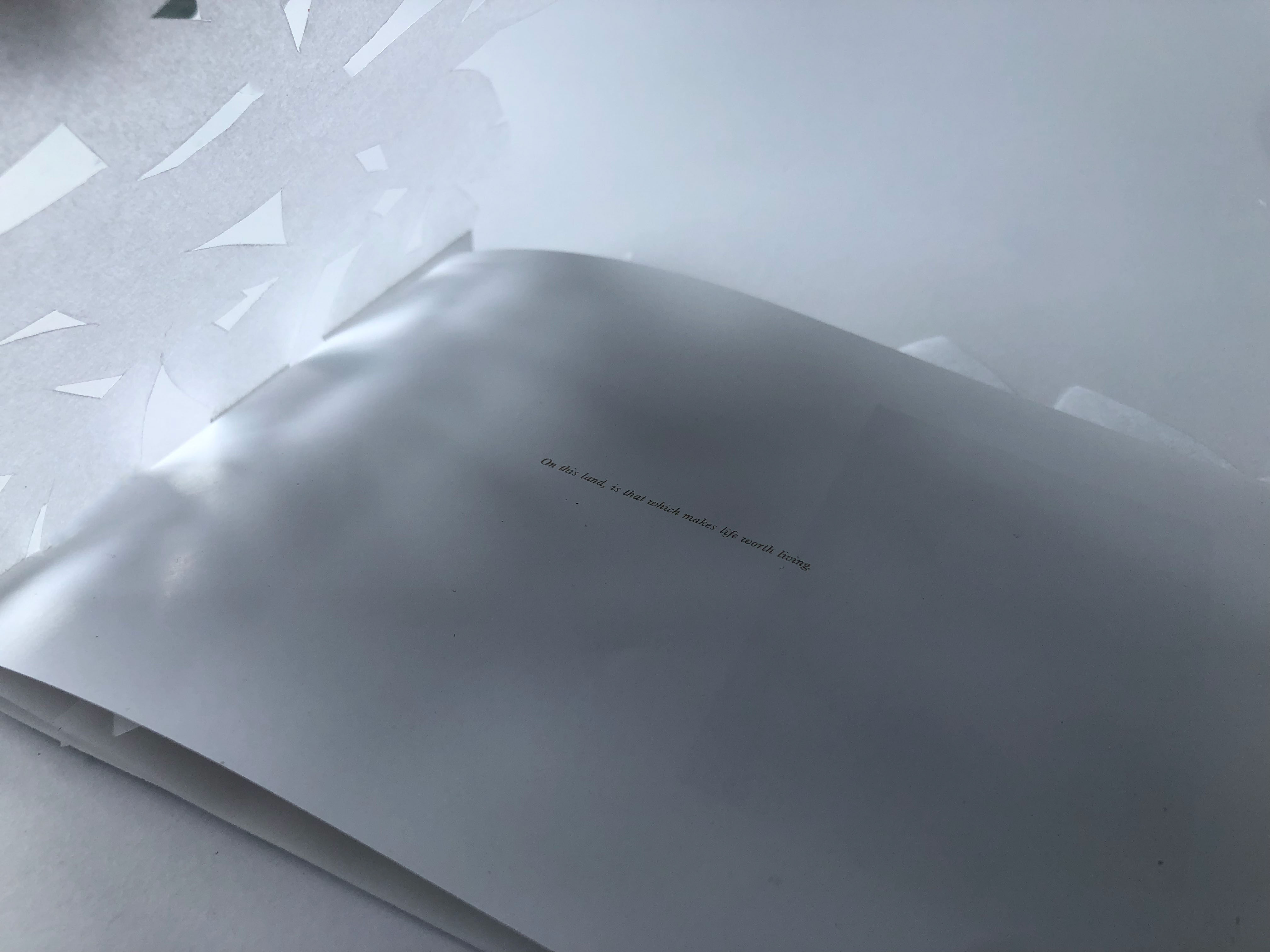 علَى هَذِهِ الأَرْض - On This Land: Publication