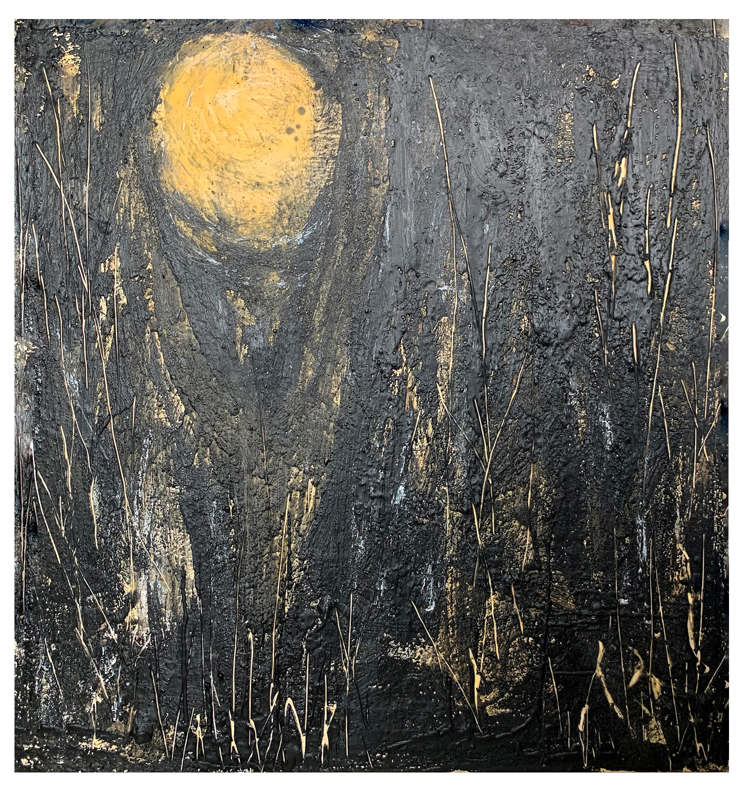 The Moon Guides Us Home