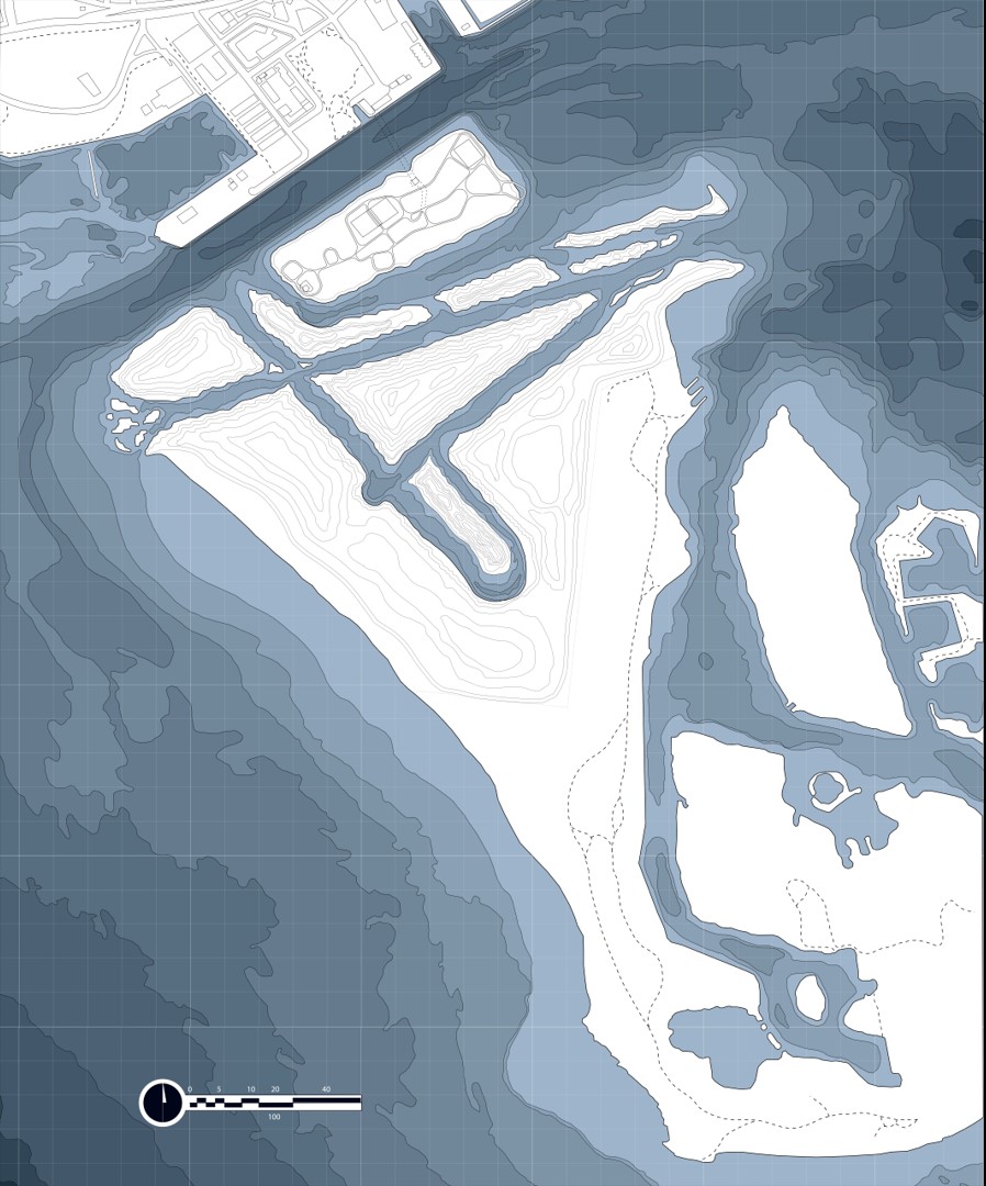 Terminal Succession: Stage 3