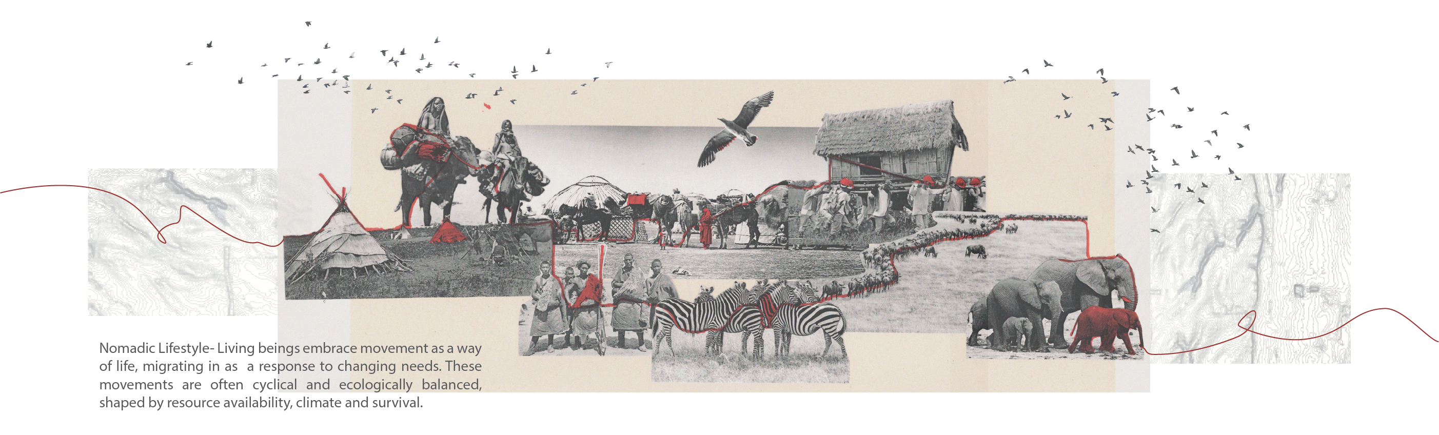 Nomadic Lifestyle