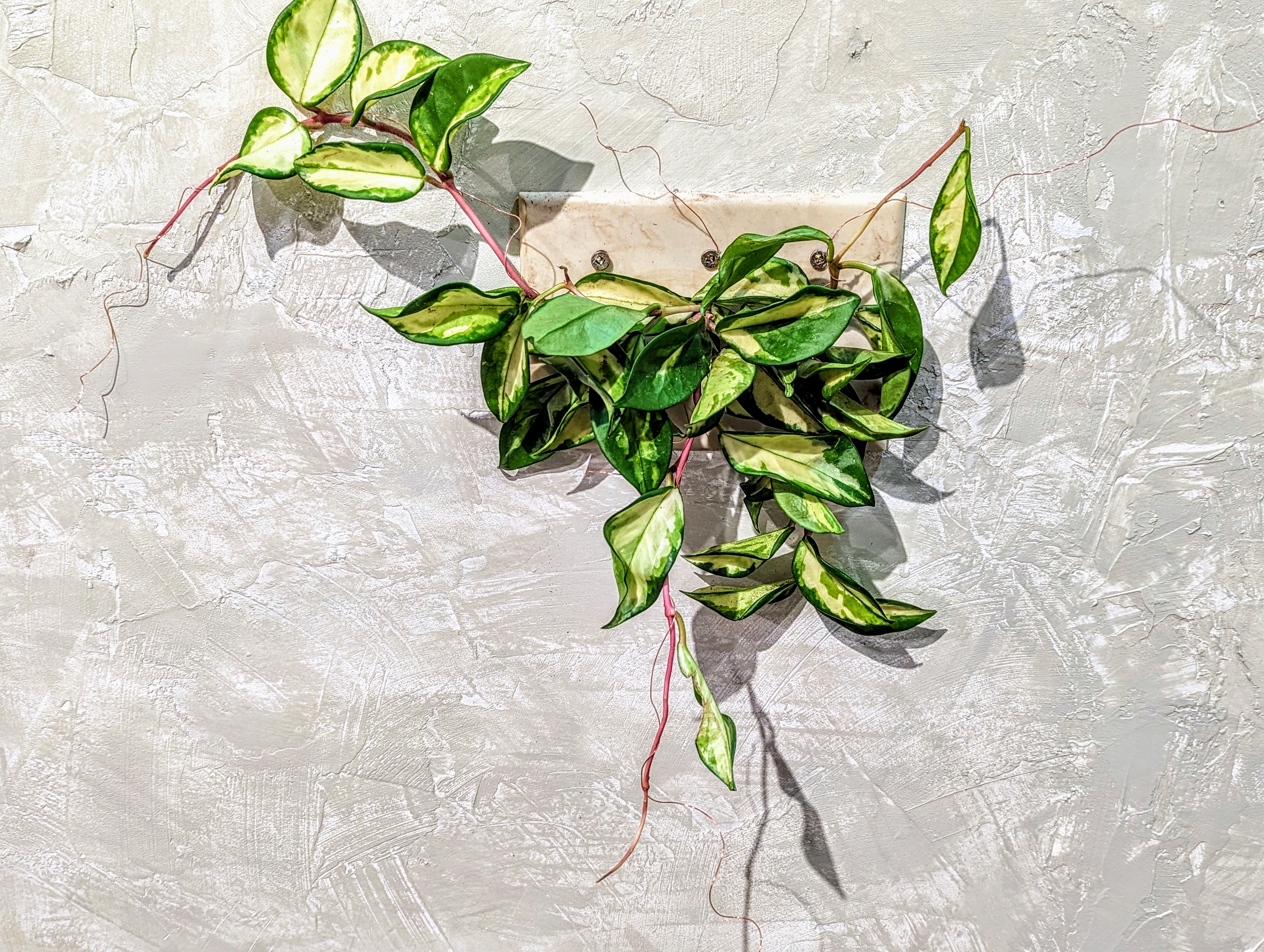 You feel like Home now.